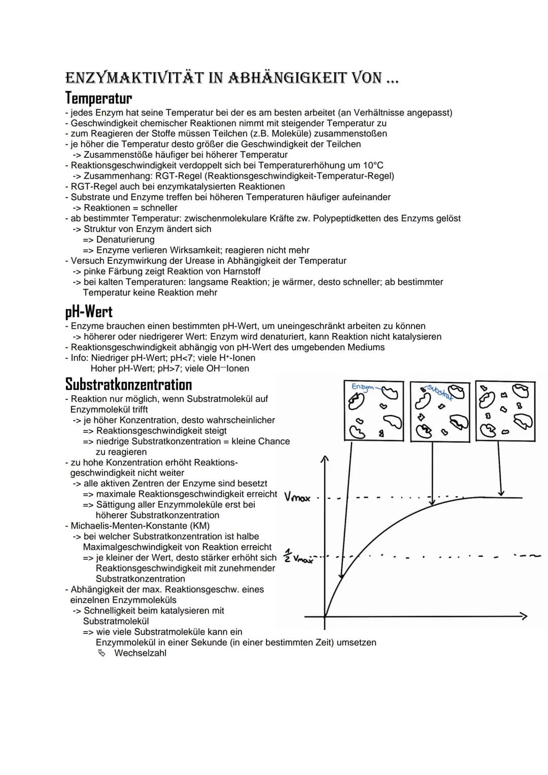 # Bio Abitur Lernzettel
# 12.1. Stoffwechsel
## VOKABELN
### Enzyme
Enzyme sind Biokatalysatoren. Sie ermöglichen Reaktionen bei Körpert