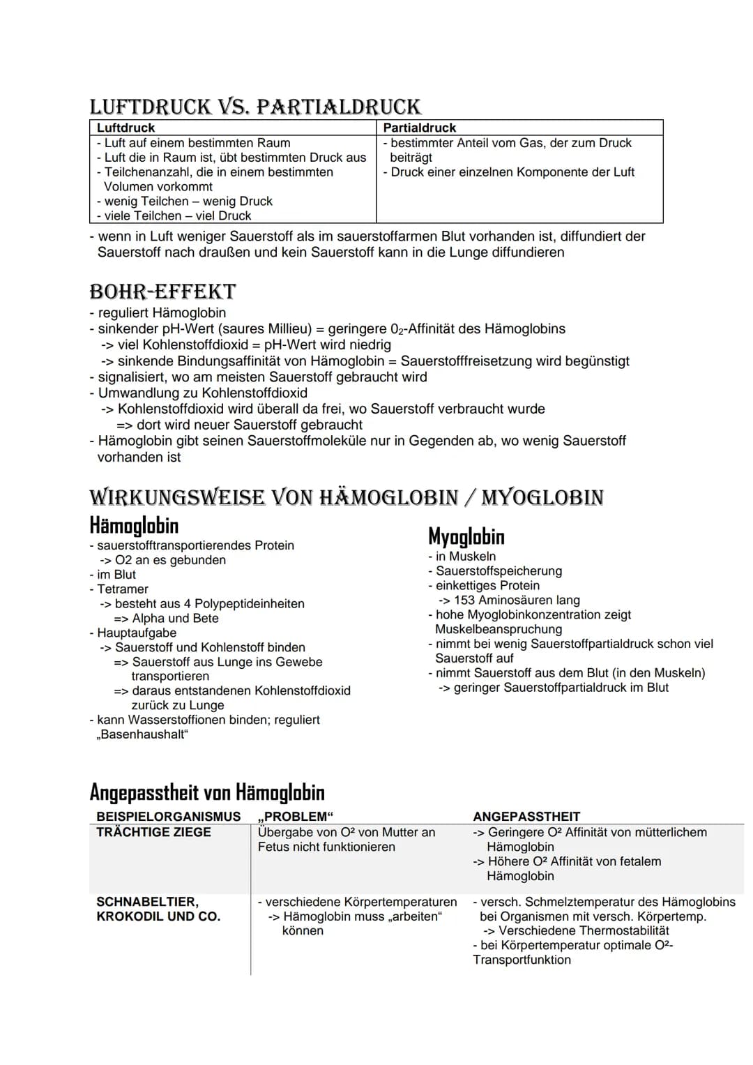 # Bio Abitur Lernzettel
# 12.1. Stoffwechsel
## VOKABELN
### Enzyme
Enzyme sind Biokatalysatoren. Sie ermöglichen Reaktionen bei Körpert