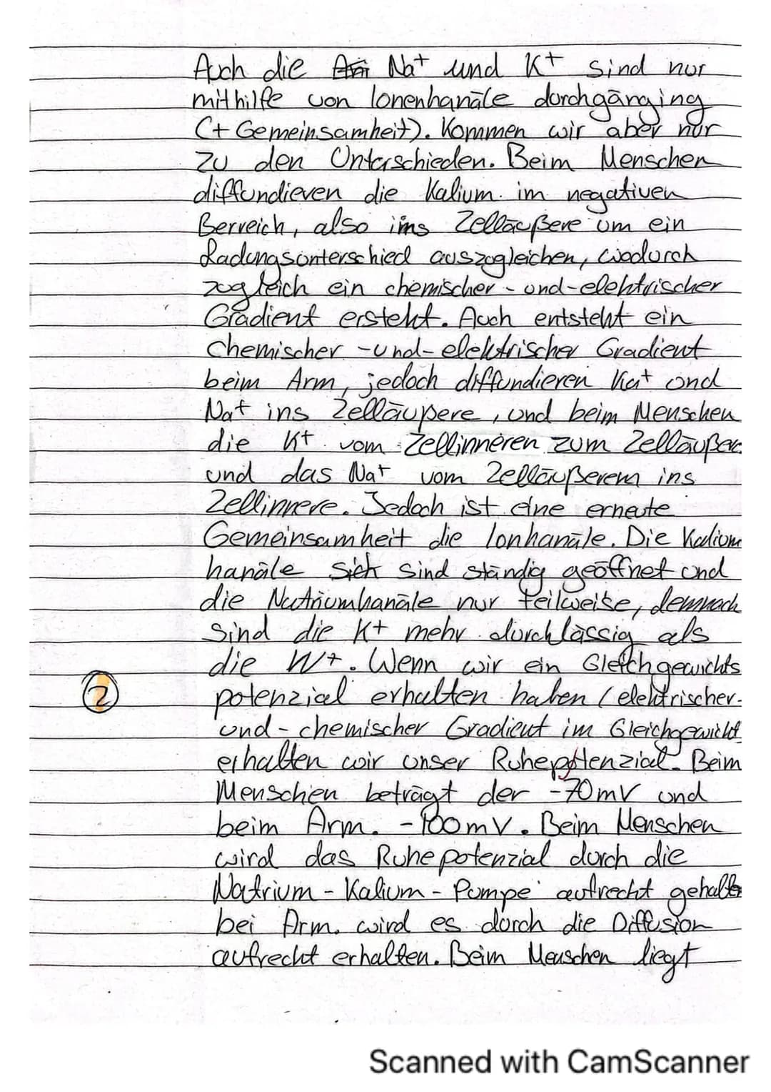 Biologieklausur Nr.1
iologie (Hö)
lasse 136
rreichte Punktzahl: 35
lote:
Klausur „Neurobiologie"
Name:
von 40 Punkten
13 Hó
Allgemein:
- Li