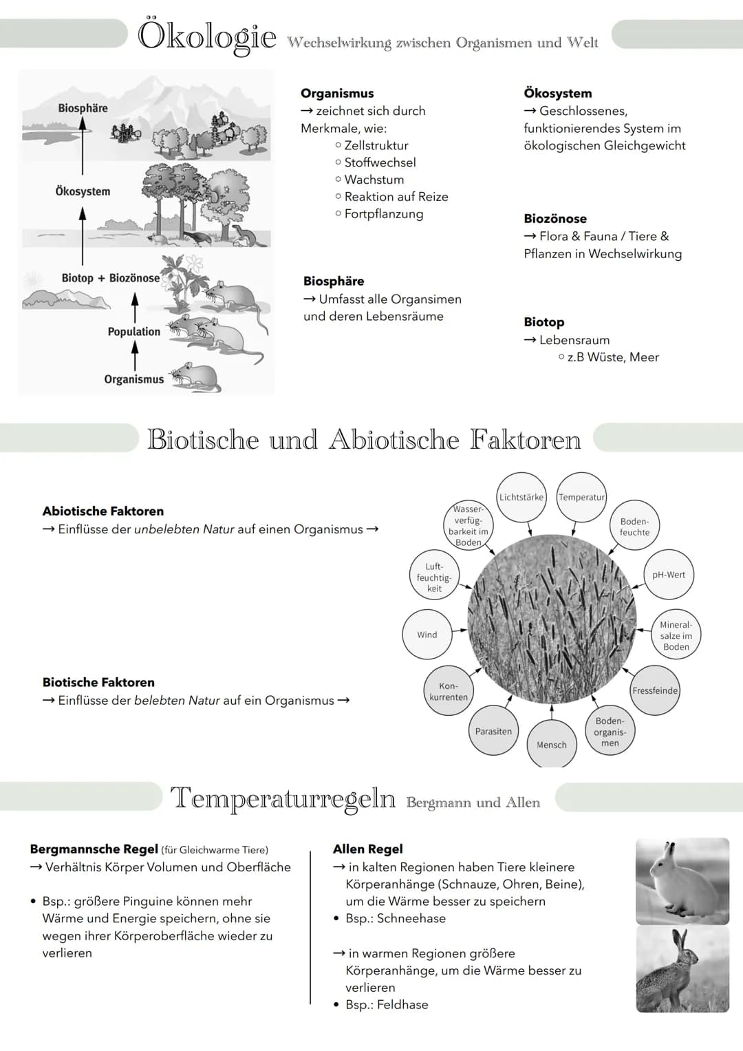# Ökologie Wechselwirkung zwischen Organismen und Welt
Biosphäre
Ökosystem
Biotop + Biozönose
Population
Organismus
Organismus
→ zeic