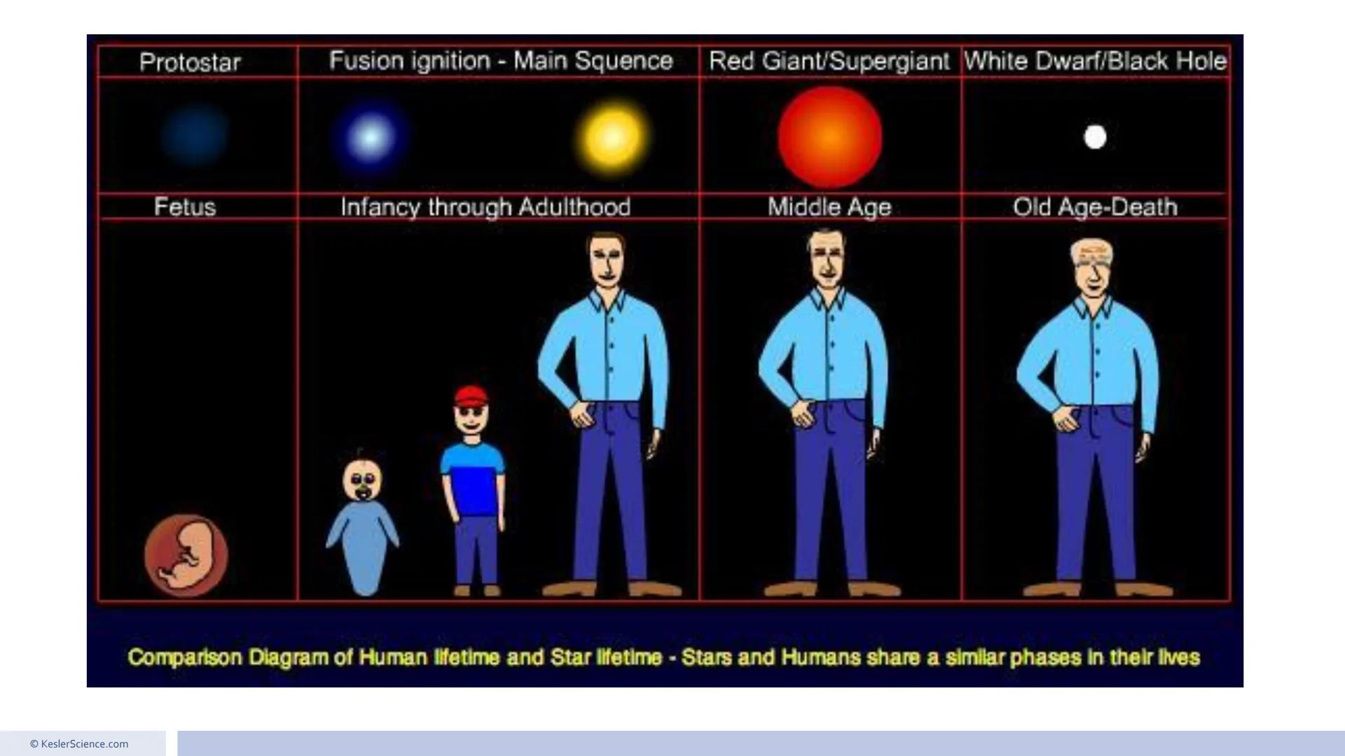 Low-mass stars
Red giant
Arcturus
Planetary
nebula
Dumbbell White
Nebula dwarf
Sirius B
Mid-sized star
The Sun
Red
dwarf
Proxima
Centaur