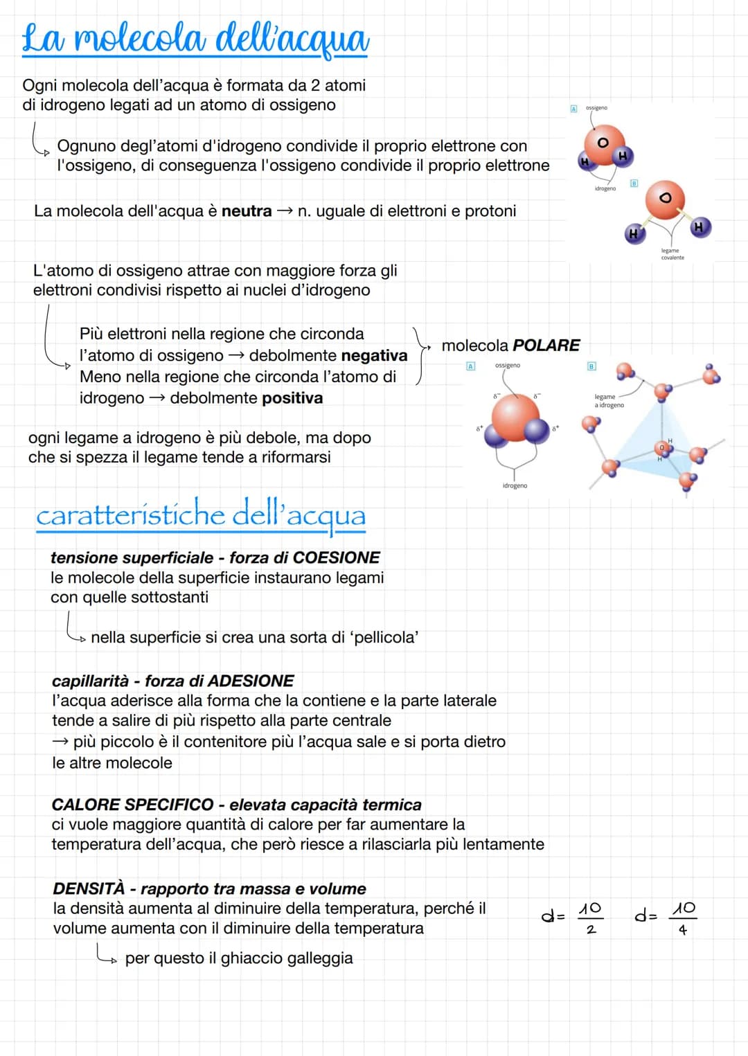 # La molecola dell'acqua
Ogni molecola dell'acqua è formata da 2 atomi
di idrogeno legati ad un atomo di ossigeno
ما
Ognuno degl'atomi d'