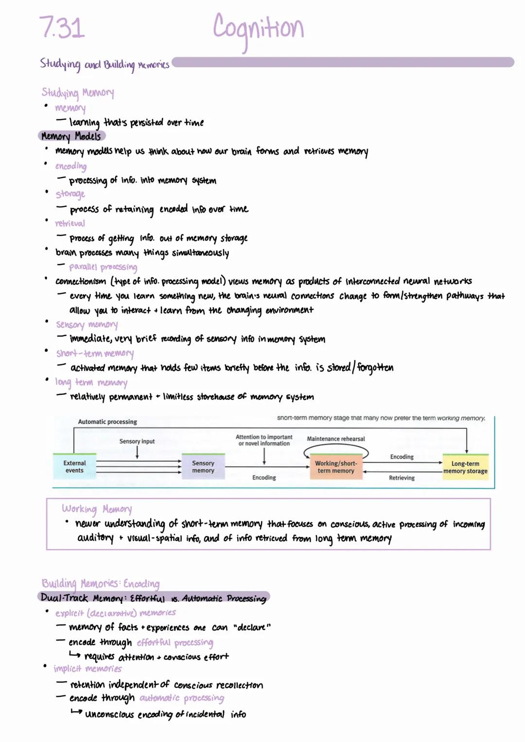 7.31
# Cognition
Studying and Building Memories
## Studying Memory
- memory
- learning that's persisted over time
## Memory Models
- memor