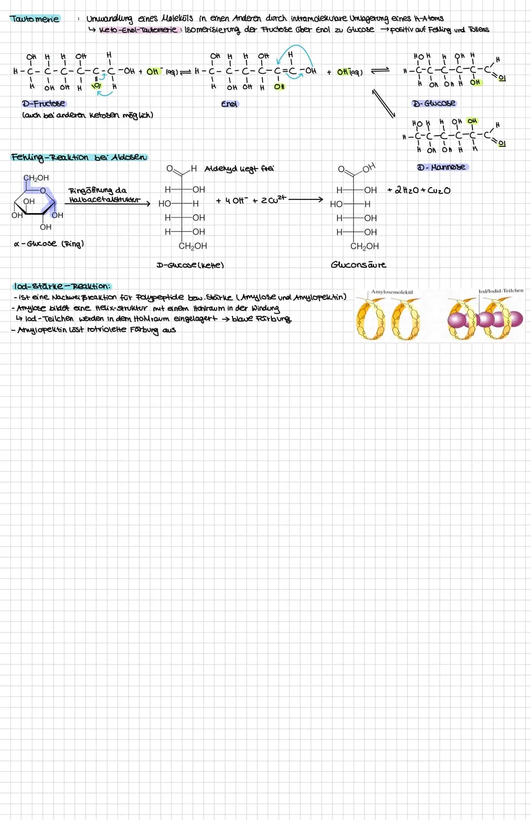 # Kohlenhydrate
20.02.2024
offene kettenform
| Aldosen | ketosen | cyclische Ringform |
| ----------- | ----------- | ----------- |
| -bes