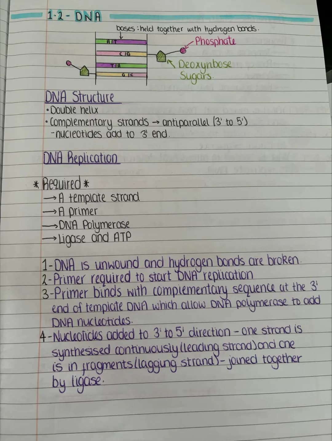 # unit one
1-1-Division And Differentiation
Somatic Cells Cells that aren't involved in reproduction
Germline Cells → Gametes (sperm and