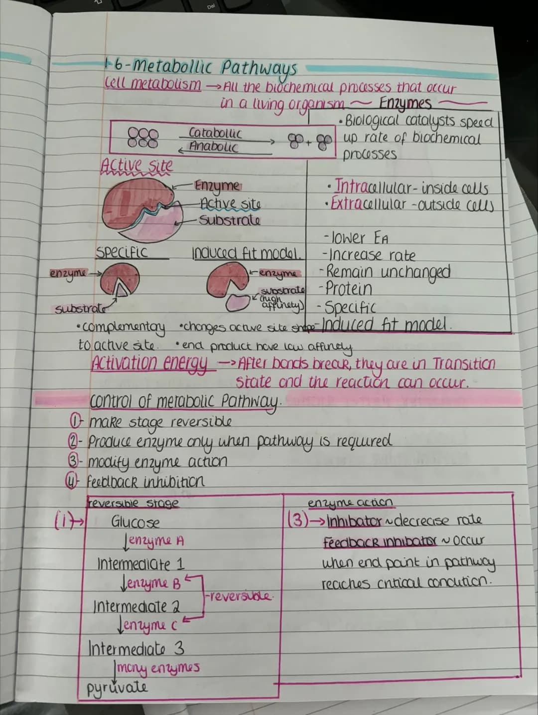 # unit one
1-1-Division And Differentiation
Somatic Cells Cells that aren't involved in reproduction
Germline Cells → Gametes (sperm and