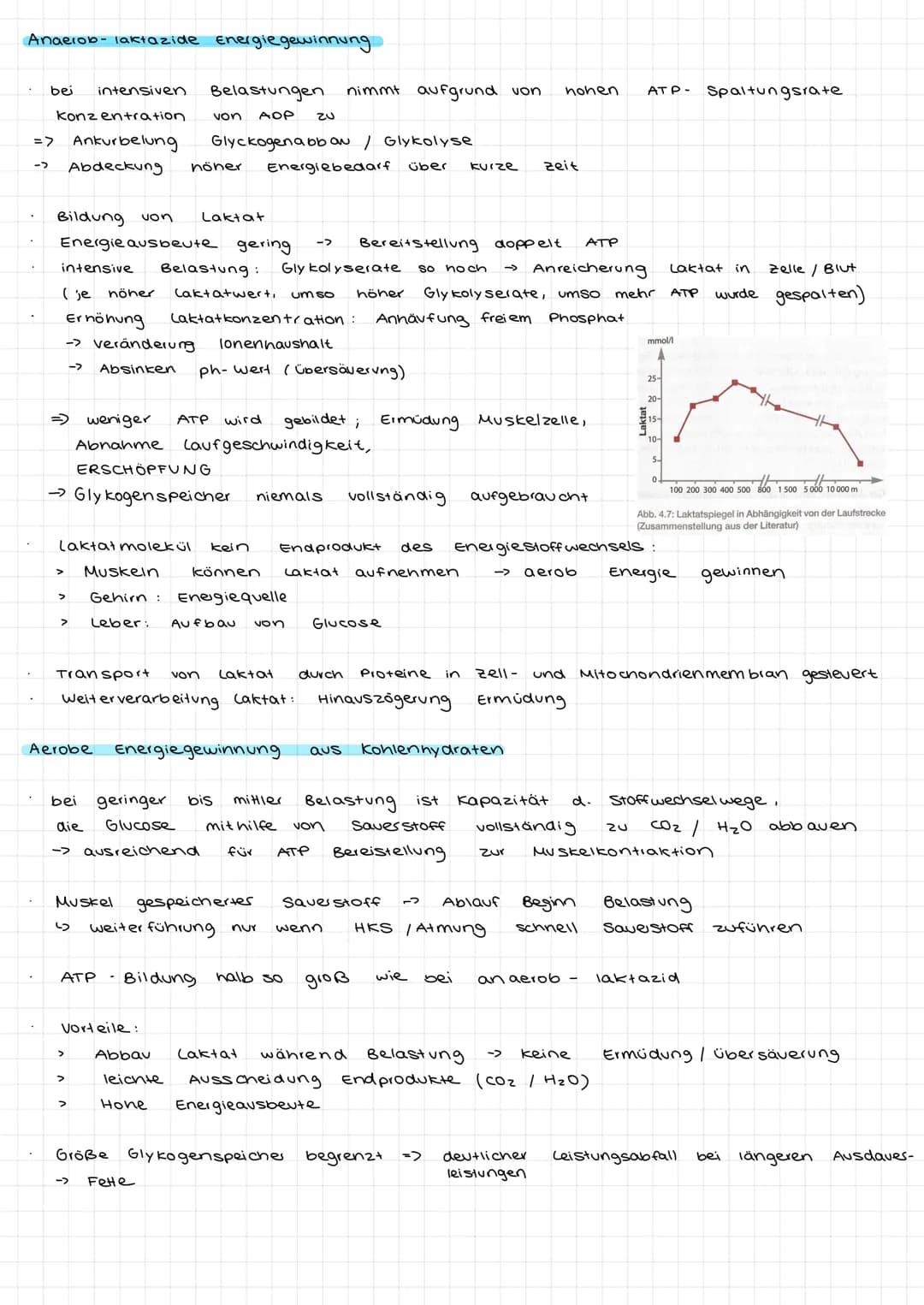# Ausdauer/ Bedeutung der Ausdauer
Im Sport und auch allgemein versteht man unter Ausdauer die physische + Psychische
Widerstandsfähigkeit