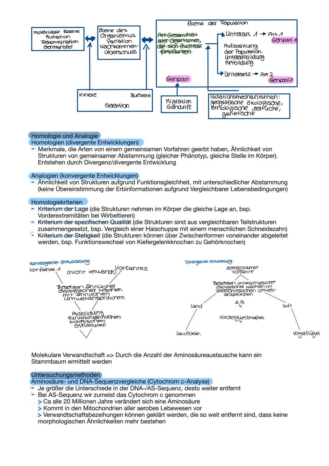 # Evolutionsmechanismen
Variabilität
- Intraspezifische Variabilität (Variationen innerhalb einer bestimmten Art; Merkmale, genetische
Auspr