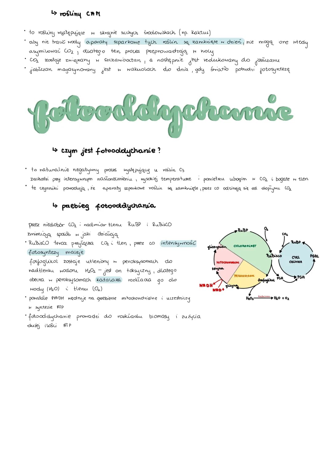 # metabolizm
> anabolizm i katabolizm
* anabolizm - procesy syntezy mniejszych cząsteczek w miększe, wymaga dostarczenia energii,
są wię