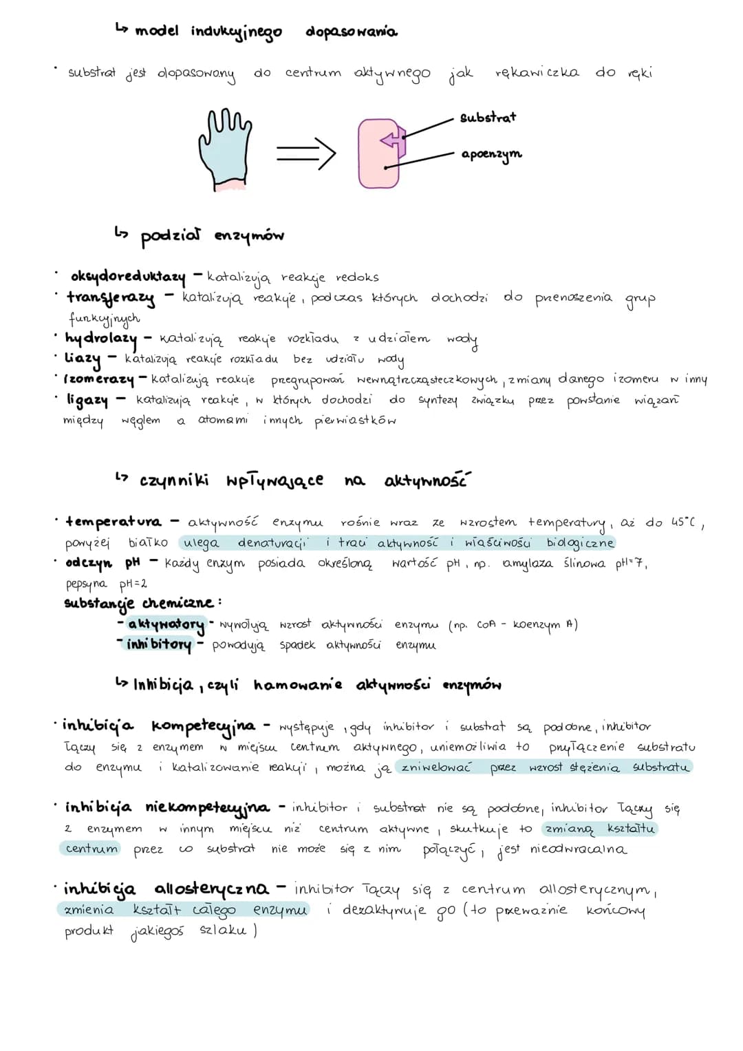 # metabolizm
> anabolizm i katabolizm
* anabolizm - procesy syntezy mniejszych cząsteczek w miększe, wymaga dostarczenia energii,
są wię