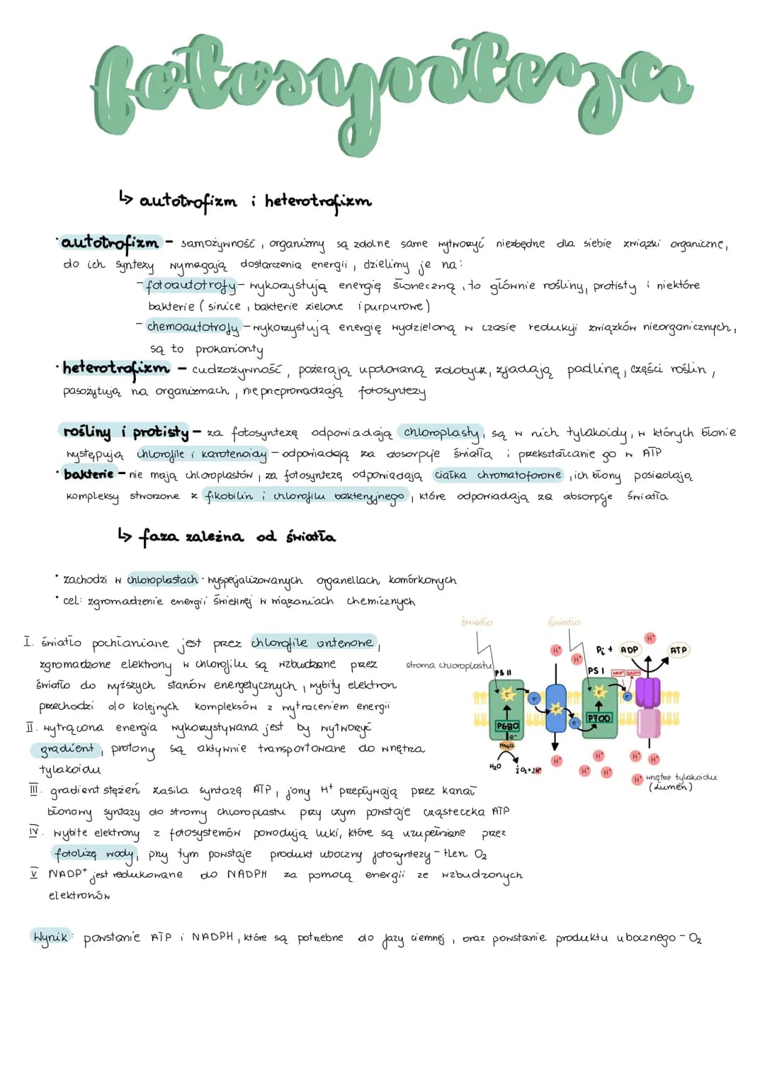 # metabolizm
> anabolizm i katabolizm
* anabolizm - procesy syntezy mniejszych cząsteczek w miększe, wymaga dostarczenia energii,
są wię