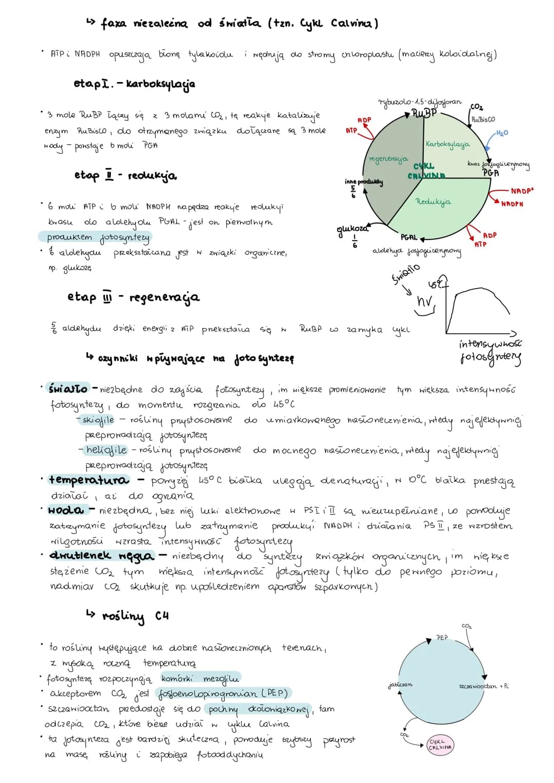 # metabolizm
> anabolizm i katabolizm
* anabolizm - procesy syntezy mniejszych cząsteczek w miększe, wymaga dostarczenia energii,
są wię