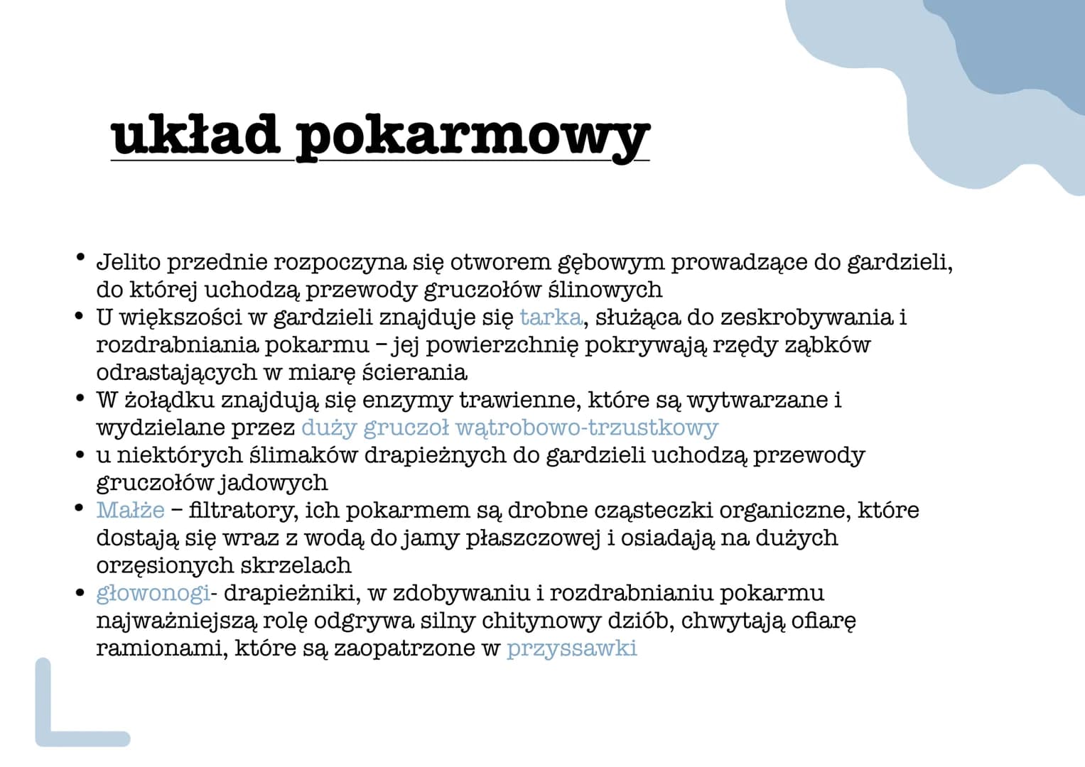 miyazaki - Stan anabiozy - umożliwia
przetrwanie w środowisku
lądowym podczas suszy, zwierzę
wciąga ciało do muszli i zakrywa
jej ujście war