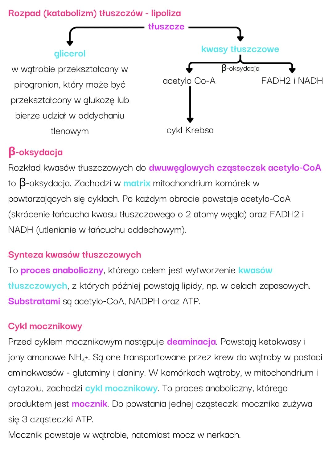 # Inne procesy
metaboliczne
Metabolizm sacharydów
Glikogenogeneza - synteza glikogenu. Głównym substratem jest glukoza.
Zachodzi głównie w