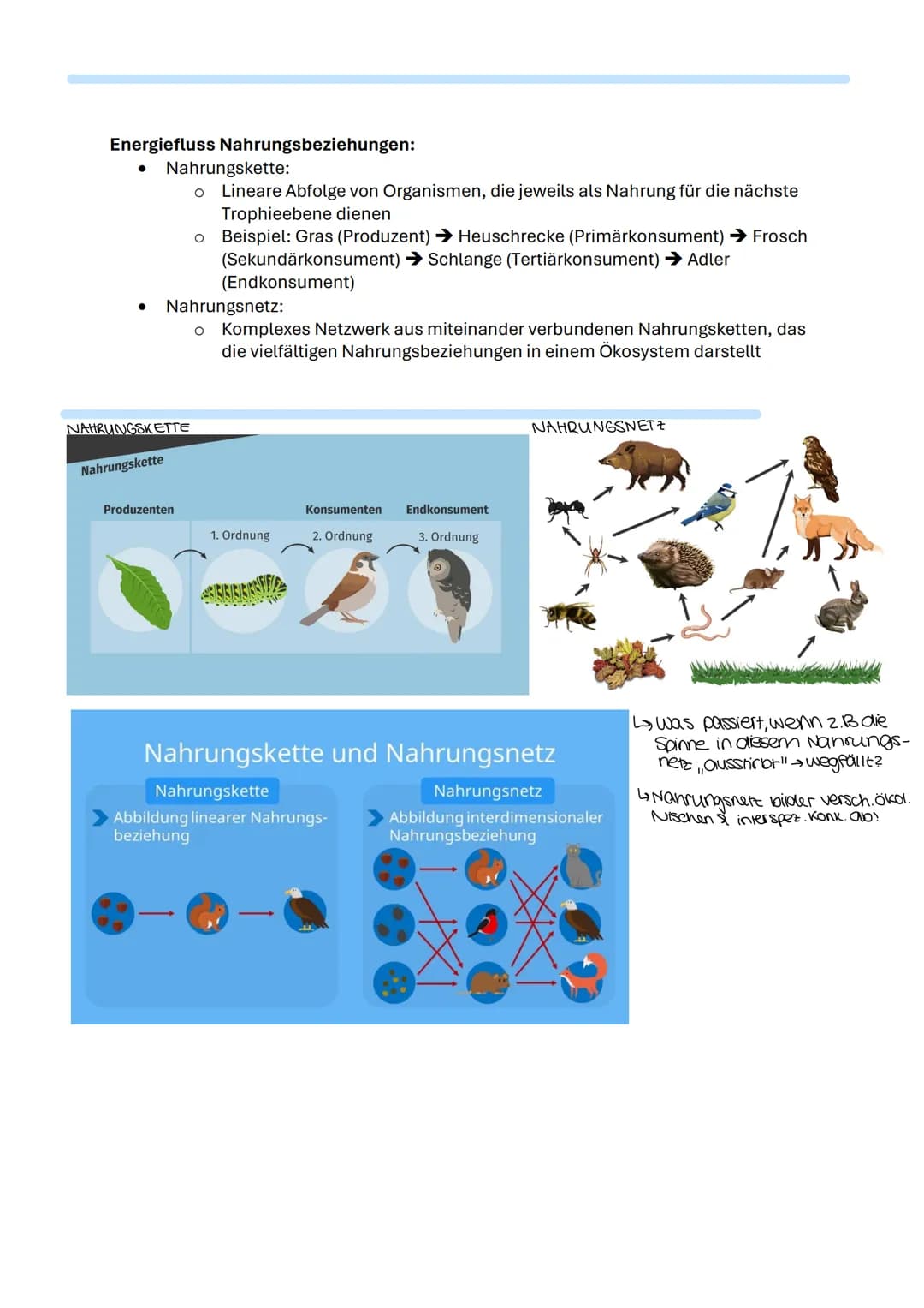 Biologie Lernzettel
Themen:
✓ abiotische Faktoren und deren Einfluss (Übersicht): Temperatur, Licht, Wasser,
RGT-Regel, Toleranzkurven, ph