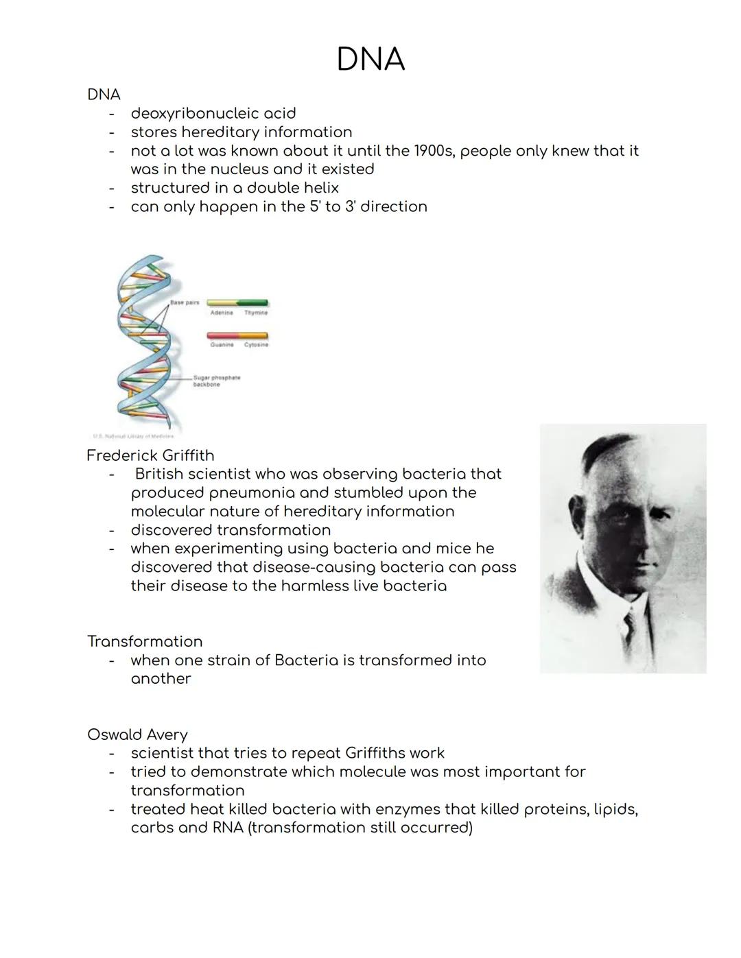 # DNA
DNA
- deoxyribonucleic acid
- stores hereditary information
- not a lot was known about it until the 1900s, people only knew that it