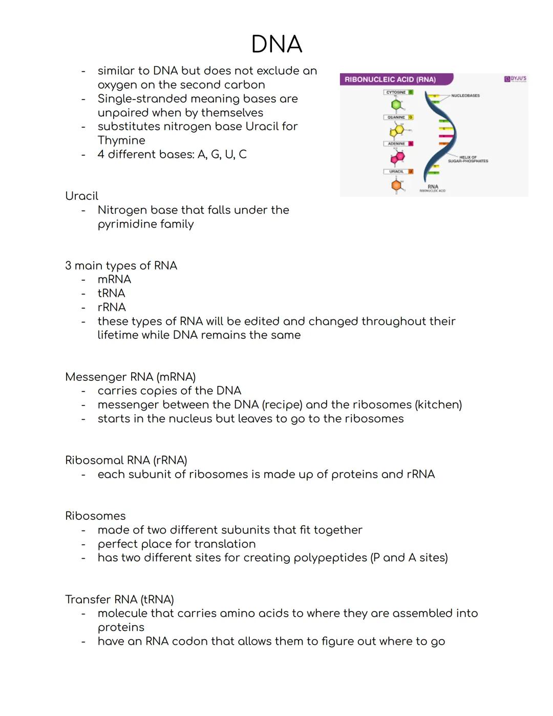 # DNA
DNA
- deoxyribonucleic acid
- stores hereditary information
- not a lot was known about it until the 1900s, people only knew that it