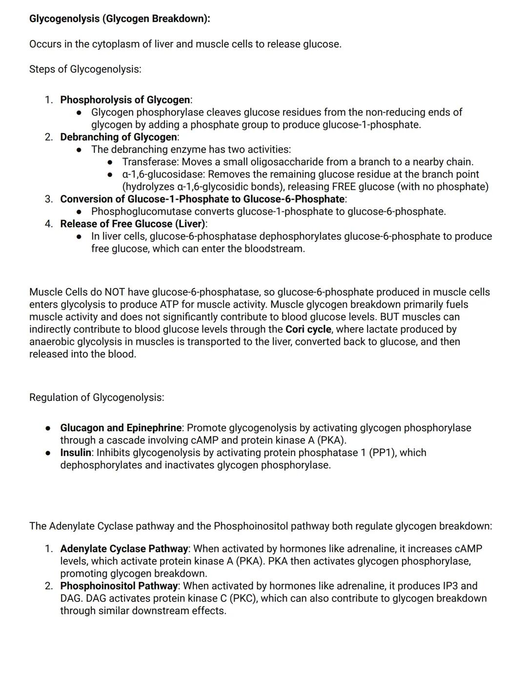 Glycolysis Overview:
- Glycolysis is a metabolic pathway occurring in the cytoplasm of cells. Doesn't require 02.
- Produces two molecules o