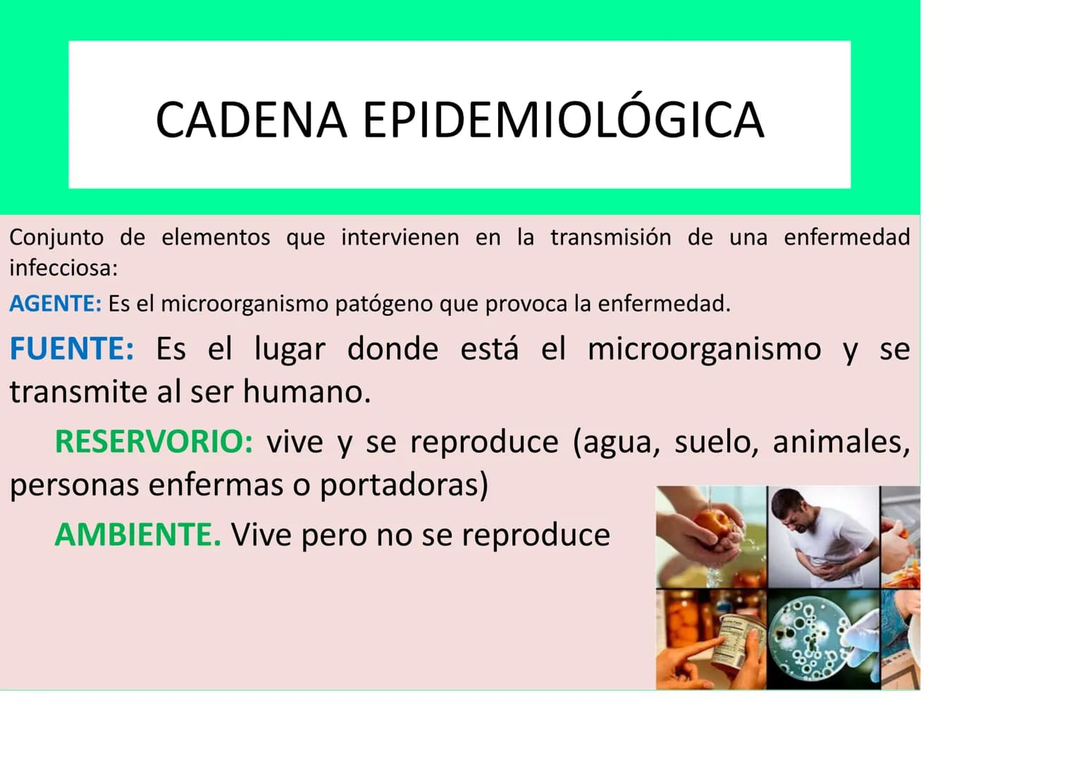 # LA SALUD Y EL SISTEMA
# INMUNITARIO # LA SALUD Y LA ENFERMEDAD
La definición DE SALUD de la OMS (Organización mundial de la Salud):
EST