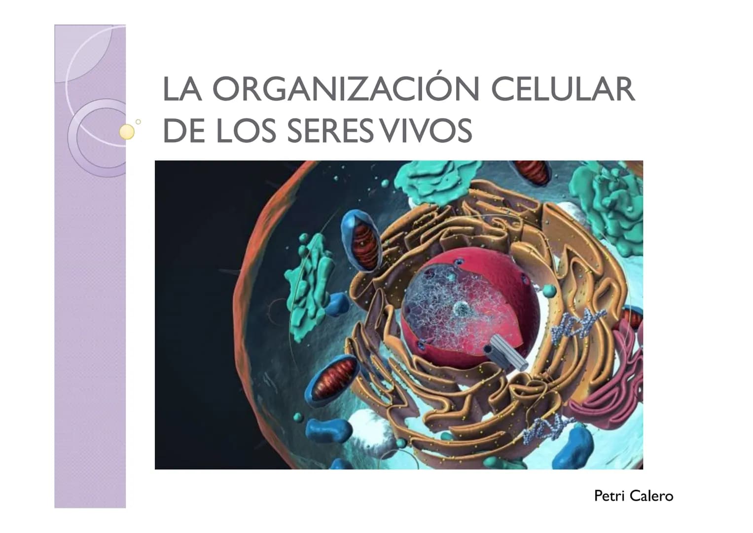# LA ORGANIZACIÓN CELULAR
DE LOS SERES VIVOS
Petri Calero # LA TEORÍA CELULAR
• HISTORIA
1665
1674
1831
1838-1839
1865
Hooke
Leeuwe