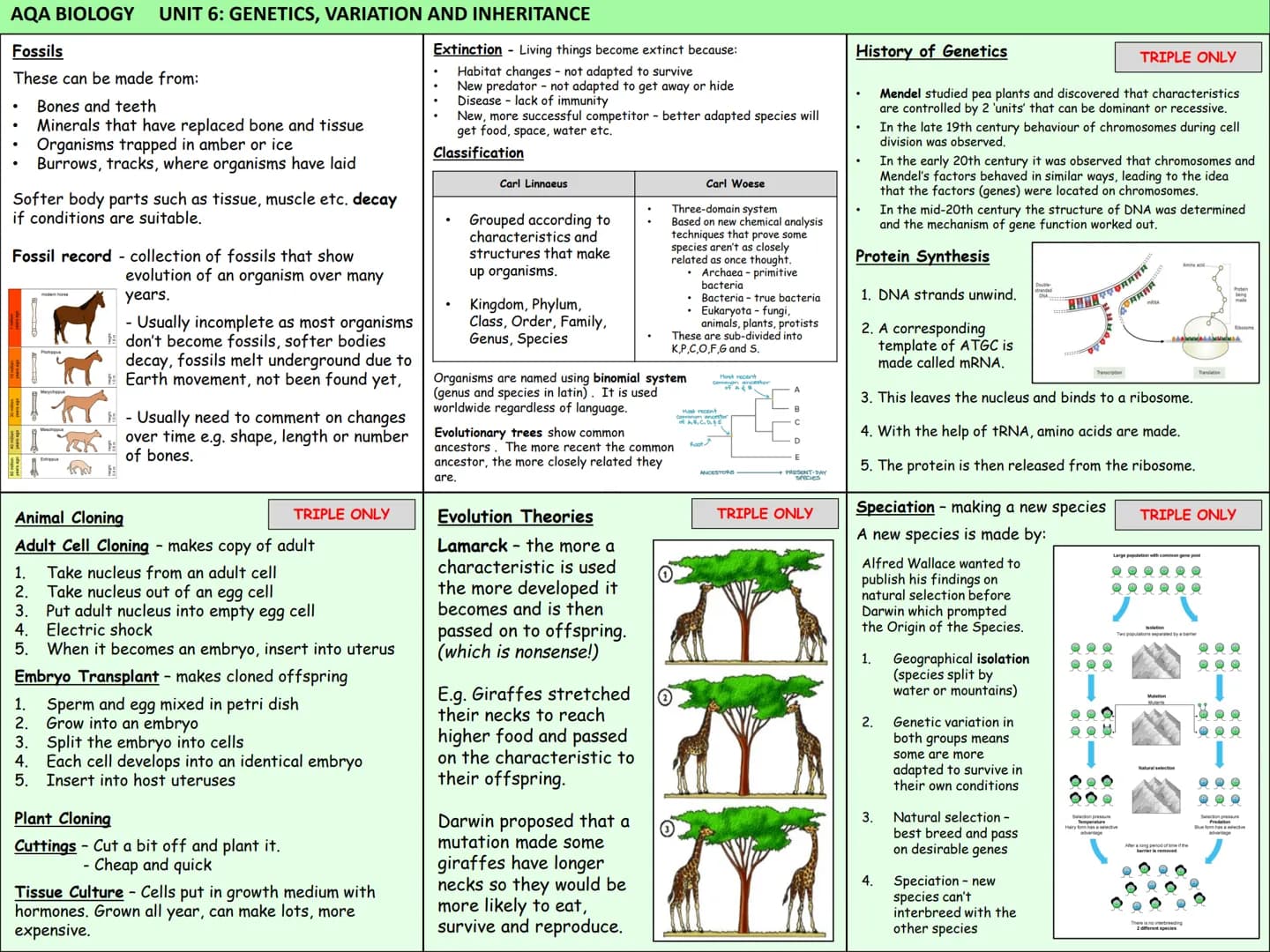 # Biology Knowledge Organisers
Unit 1: Cells
Unit 2: Organisation
Unit 3: Infectious Diseases
Unit 4: Bioenergetics
(Photosynthesis and
Res