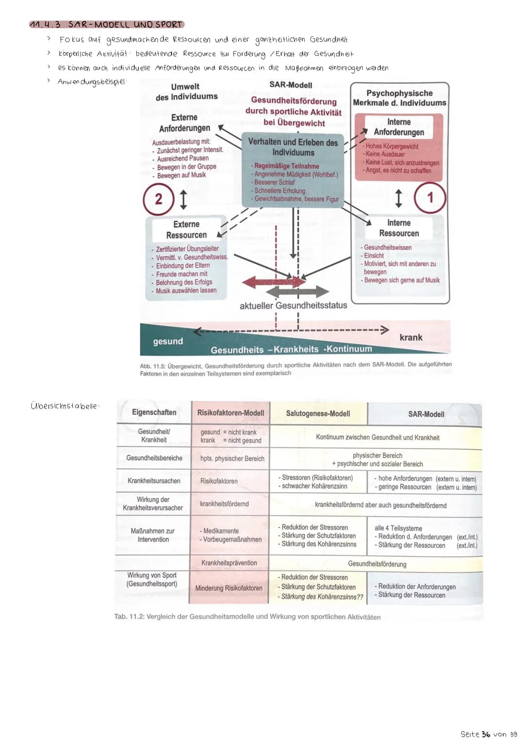 # 10. Zielbereiche des Sports
10.1 ÜBERSICHT
Sportbereich
Leistungsniveau
Gesundheitssport
Gesundheit
Fitnesssport
fit Sein
Leistungssp