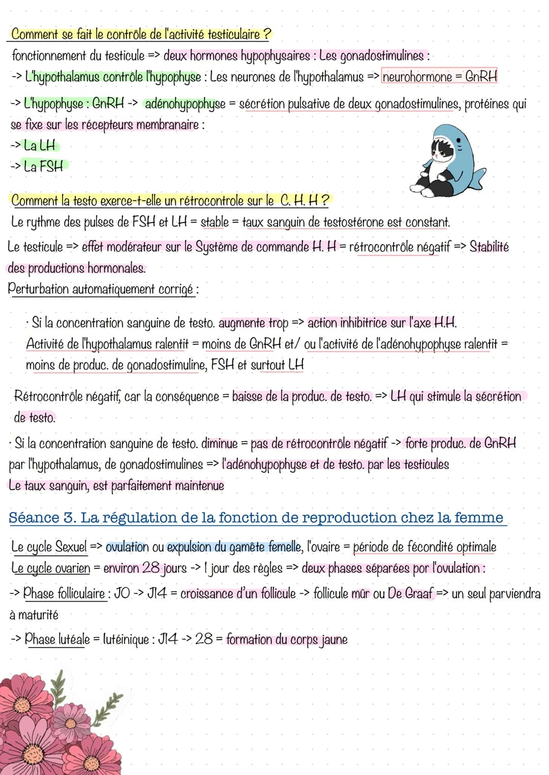# Partie 3. Régulation de la fonction de reproduction
Séance 1 - Le complexe hypothalamo-hypophysaire
C. H. H = constitué par deux glande