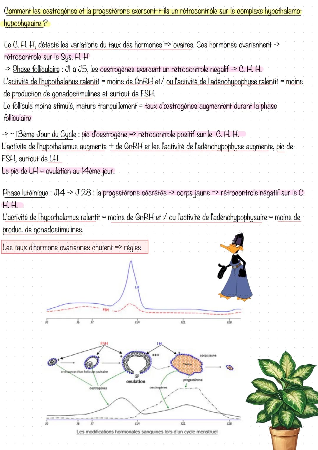# Partie 3. Régulation de la fonction de reproduction
Séance 1 - Le complexe hypothalamo-hypophysaire
C. H. H = constitué par deux glande