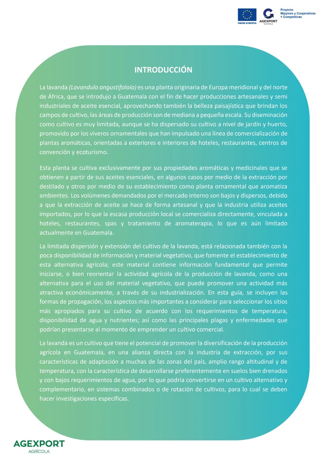 UNIÓN EUROPEA
G
AGEXPORT
GUATEMALA
Proyecto
Mipymes y Cooperativas
+ Competitivas
Lavanda, Lavandula angustifolia
AGEXPORT
AGRÍCOLA G
AG