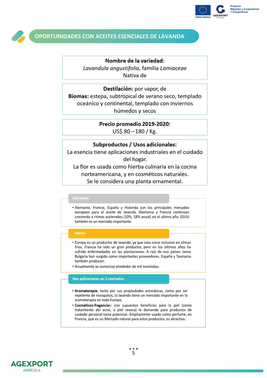 UNIÓN EUROPEA
G
AGEXPORT
GUATEMALA
Proyecto
Mipymes y Cooperativas
+ Competitivas
Lavanda, Lavandula angustifolia
AGEXPORT
AGRÍCOLA G
AG