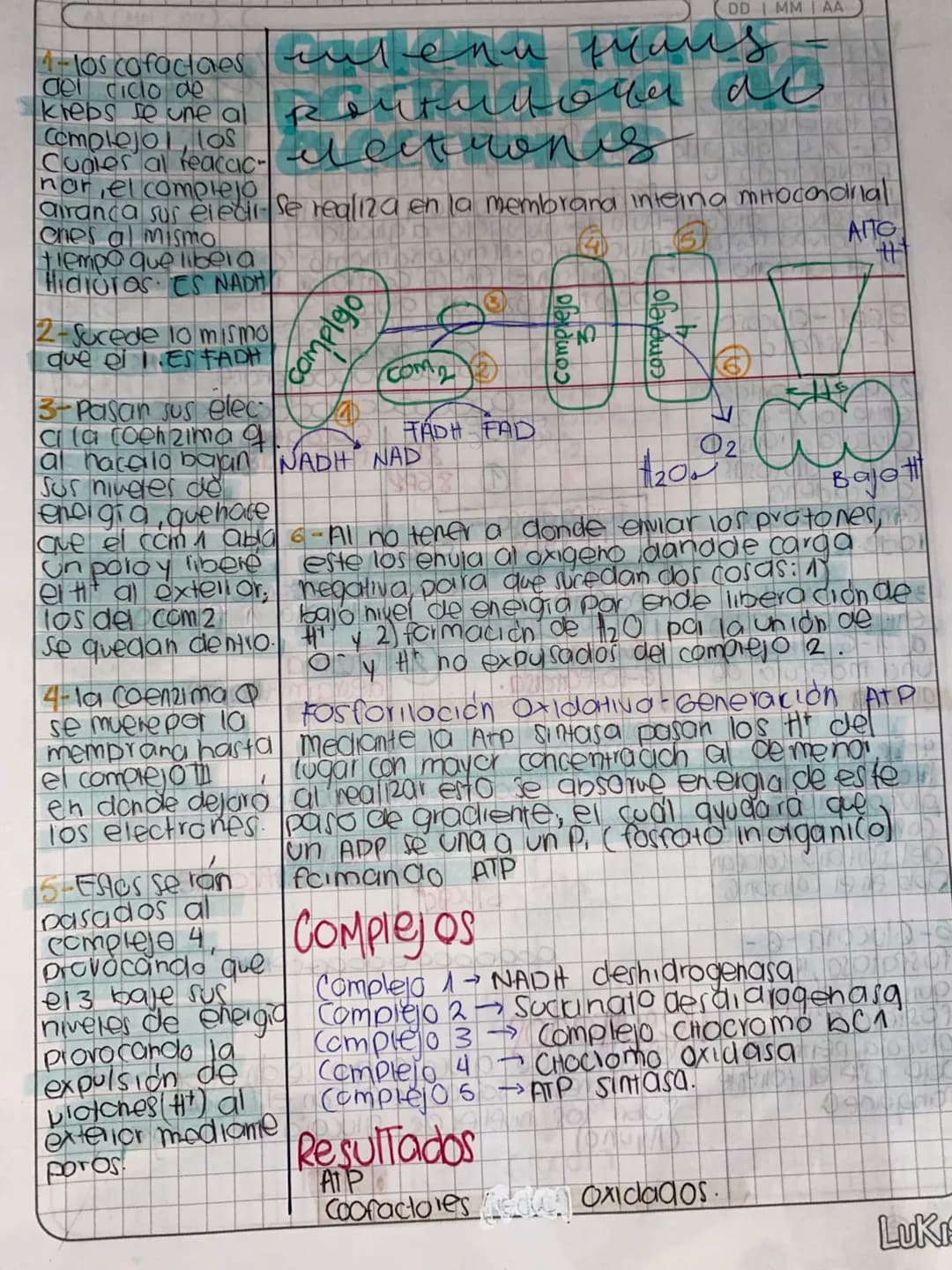 DDMM AA
# Glase de
# METABOLISMO
- Metabolismo la suma de todas las reacciones
quimicas que se llevon acabo dentia de la célula
- Anabolismo