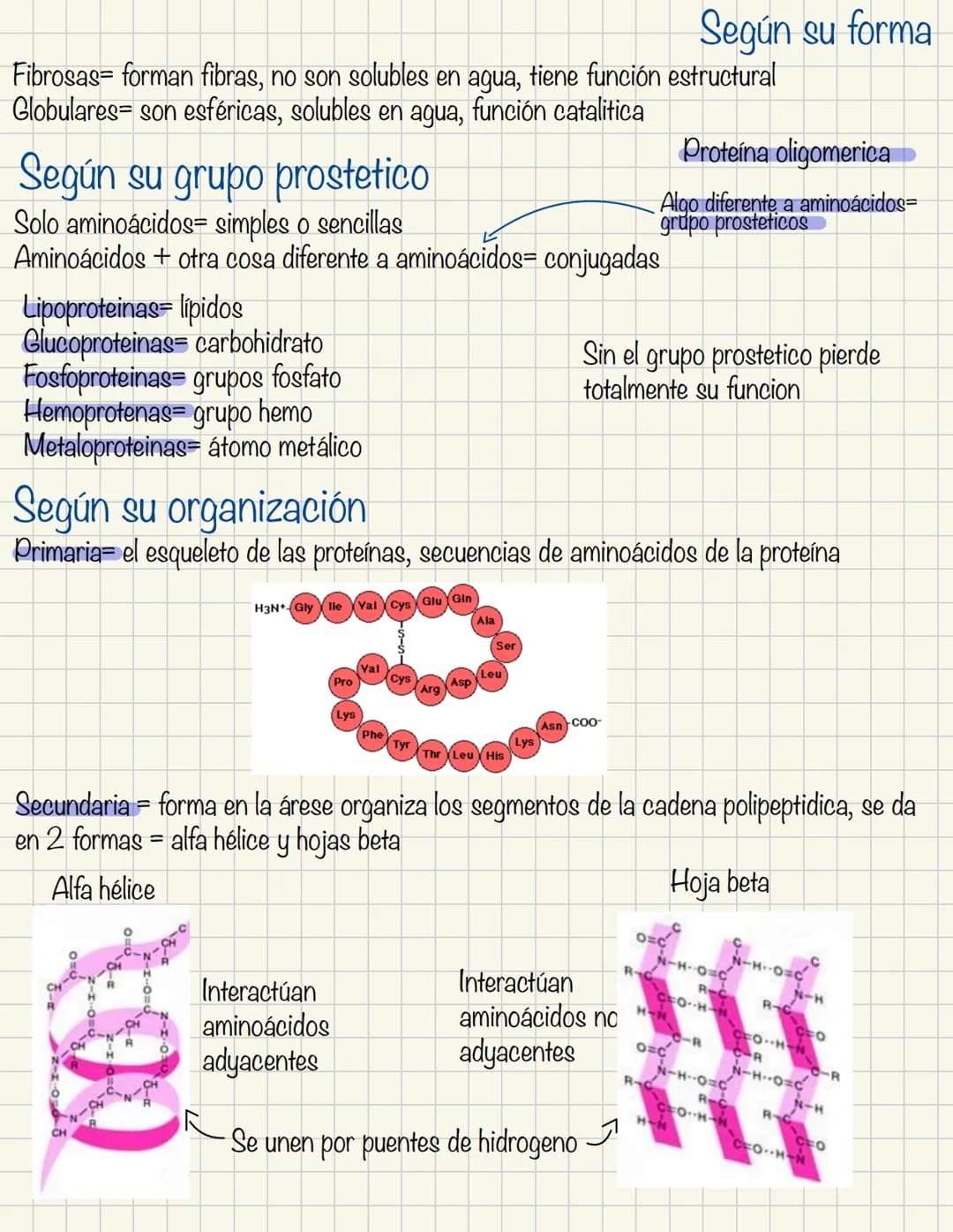 Aminoácidos conforman las proteínas en nuestro cuerpo. Estos aminoácidos tiene un
grupo amino y un ácido carboxilico(obligatorio). En el cue
