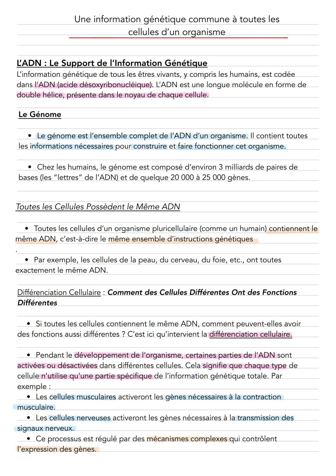 # Une information génétique commune à toutes les
cellules d'un organisme
**L'ADN : Le Support de l'Information Génétique**
L'information g
