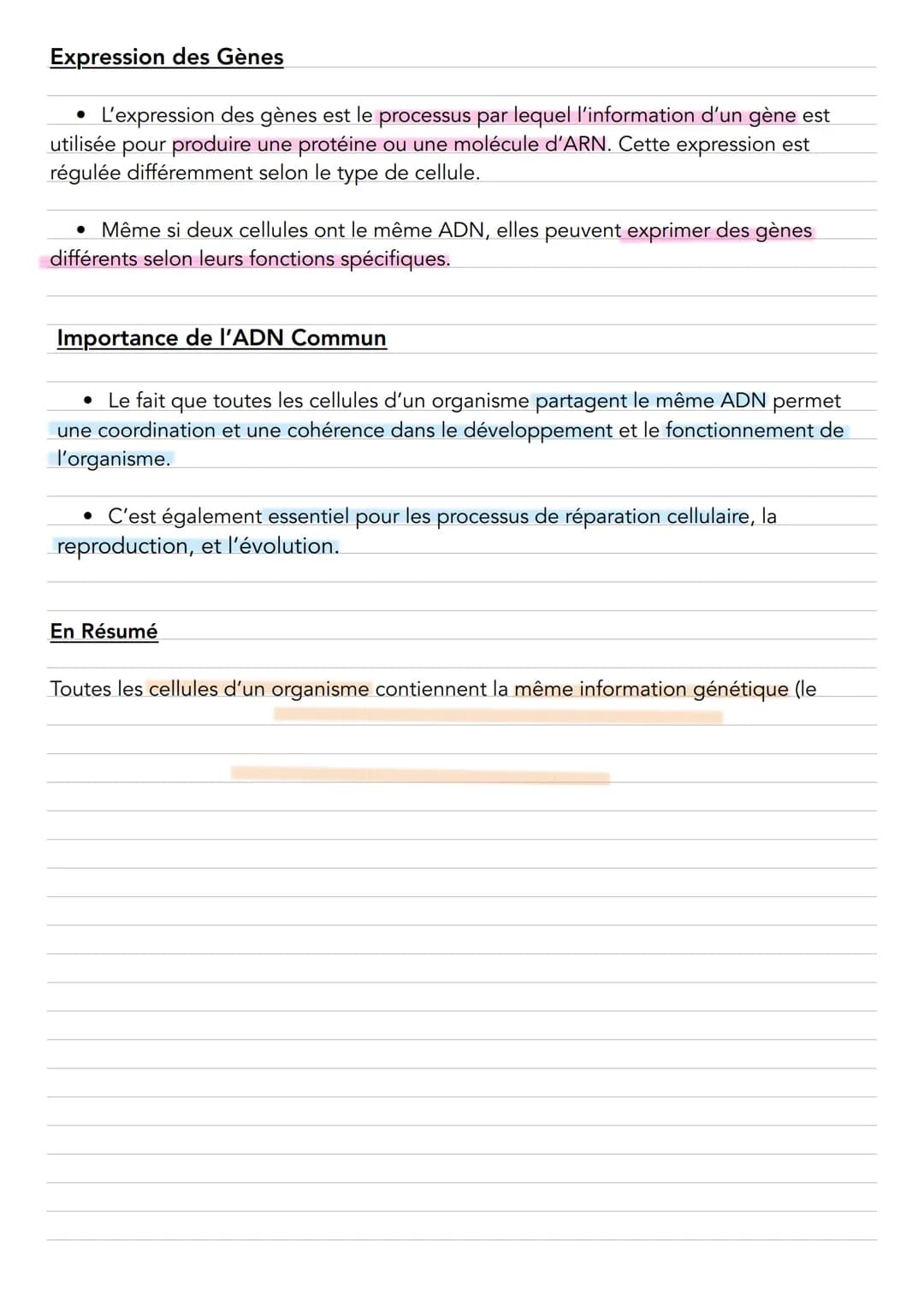 # Une information génétique commune à toutes les
cellules d'un organisme
**L'ADN : Le Support de l'Information Génétique**
L'information g