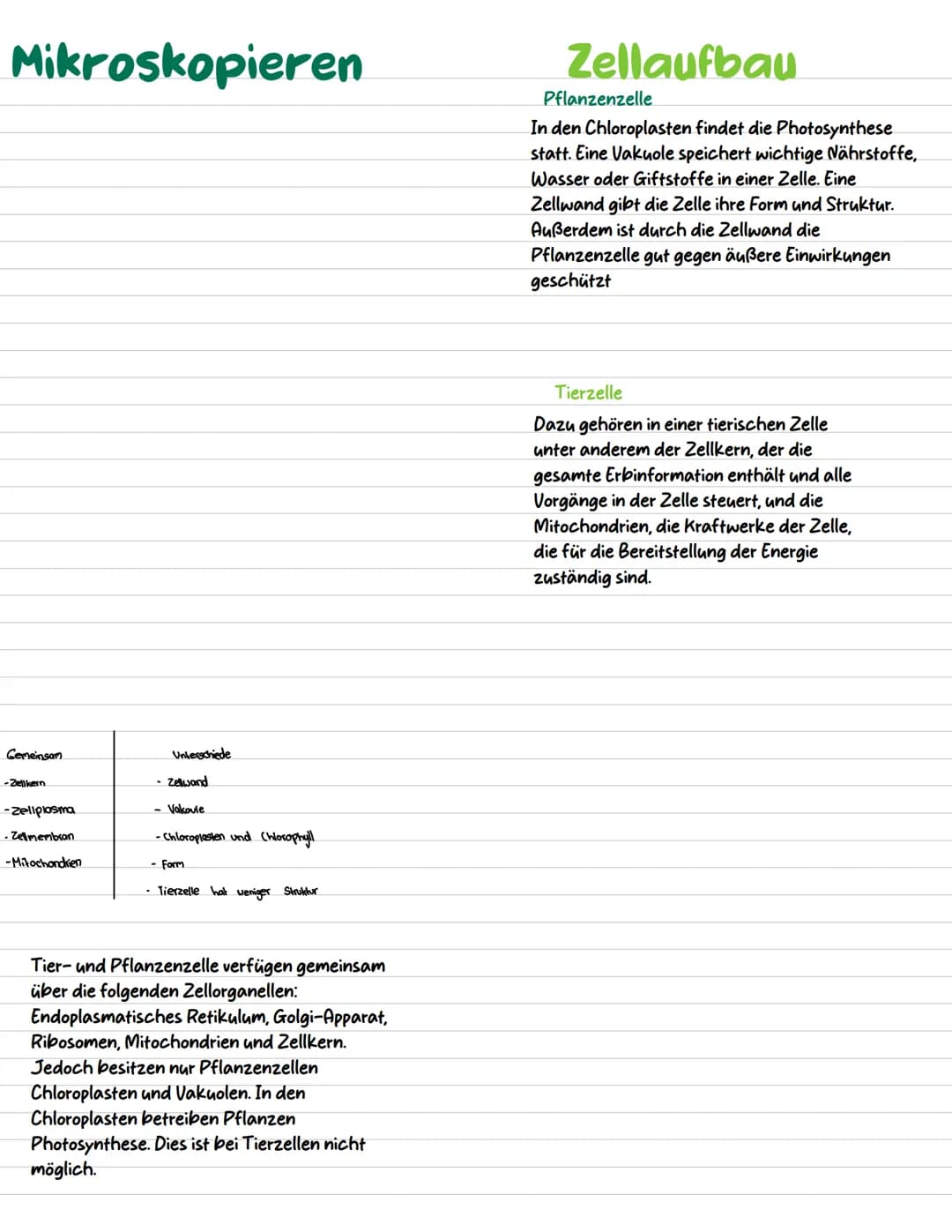 # Mikroskopieren
Aufbau
# Zellaufbau
# Aufbau des Lichtmikroskops
Tubus
Objektrevolver
Objektive
Objektträger
Kondensor
Lichtquelle