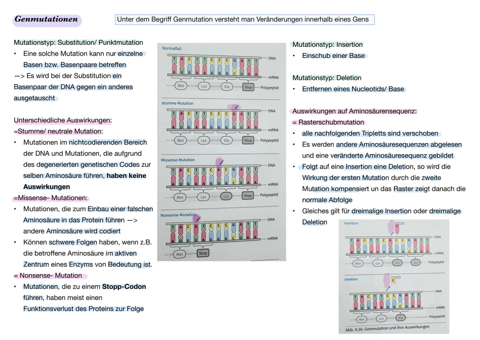 # Q1. 2 Gene und Gentechnik
Bau und Vermehrung von Bakterien: -> Bakterien wie E.coli gehören zu den
Prokaryoten
Vorteile von Bakterien in
