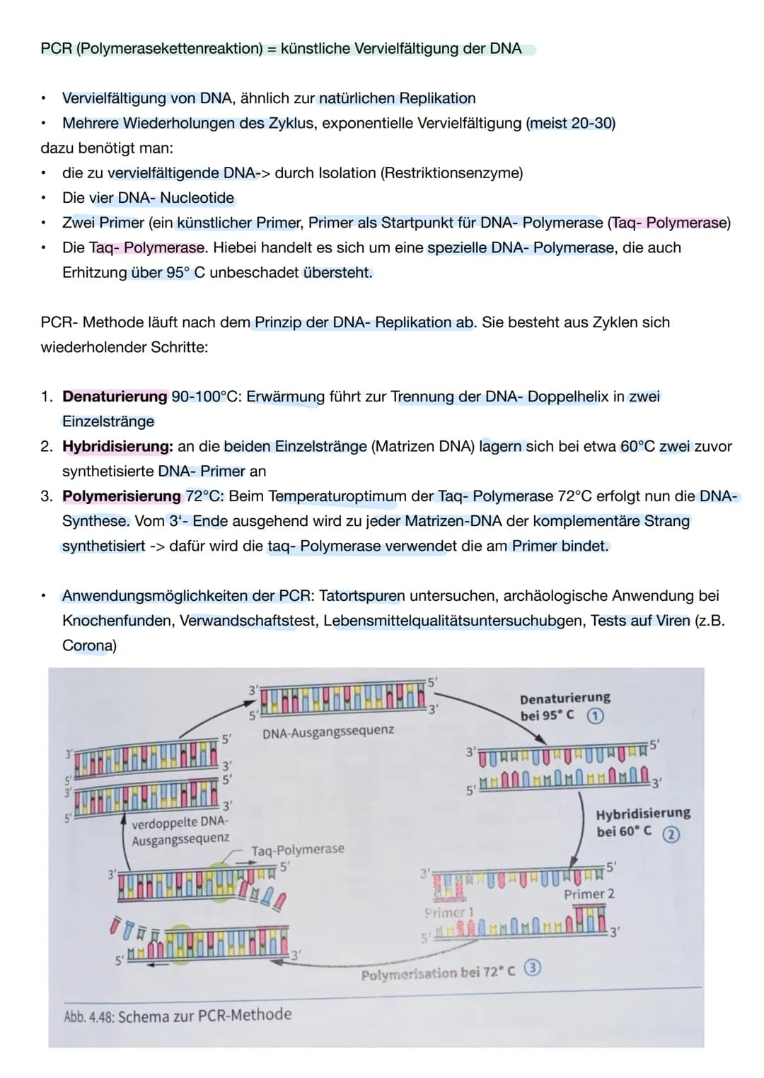 # Q1. 2 Gene und Gentechnik
Bau und Vermehrung von Bakterien: -> Bakterien wie E.coli gehören zu den
Prokaryoten
Vorteile von Bakterien in