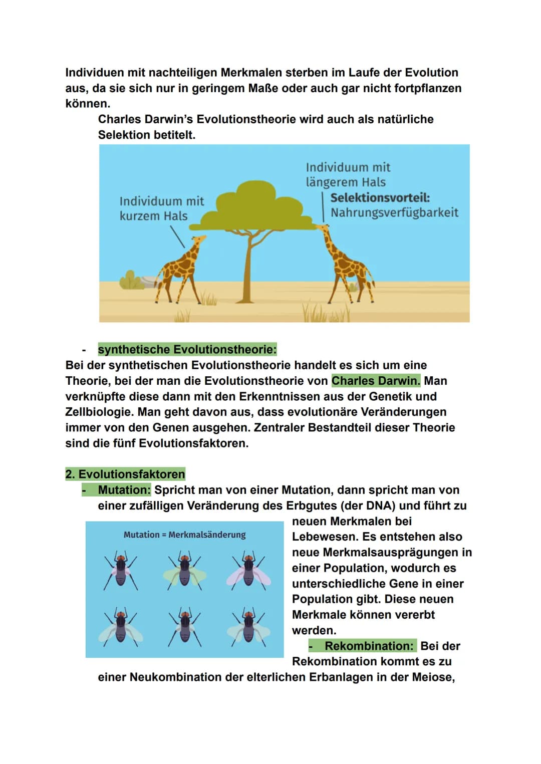 # Biologie - Evolution
## 1. Evolutionstheorien
- Jean Baptiste de Lamarck:
Laut Lamarck passen sich die Arten im Laufe der Zeit an ihre