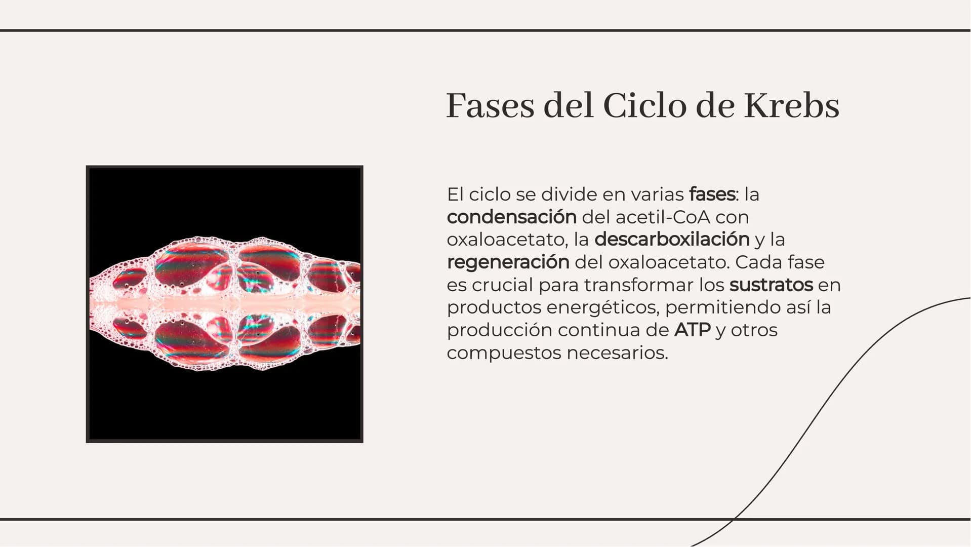 # Ciclo de Krebs: El Motor
Energético de la Célula # Introducción al Ciclo de Krebs
El Ciclo de Krebs, también conocido como
el ciclo del