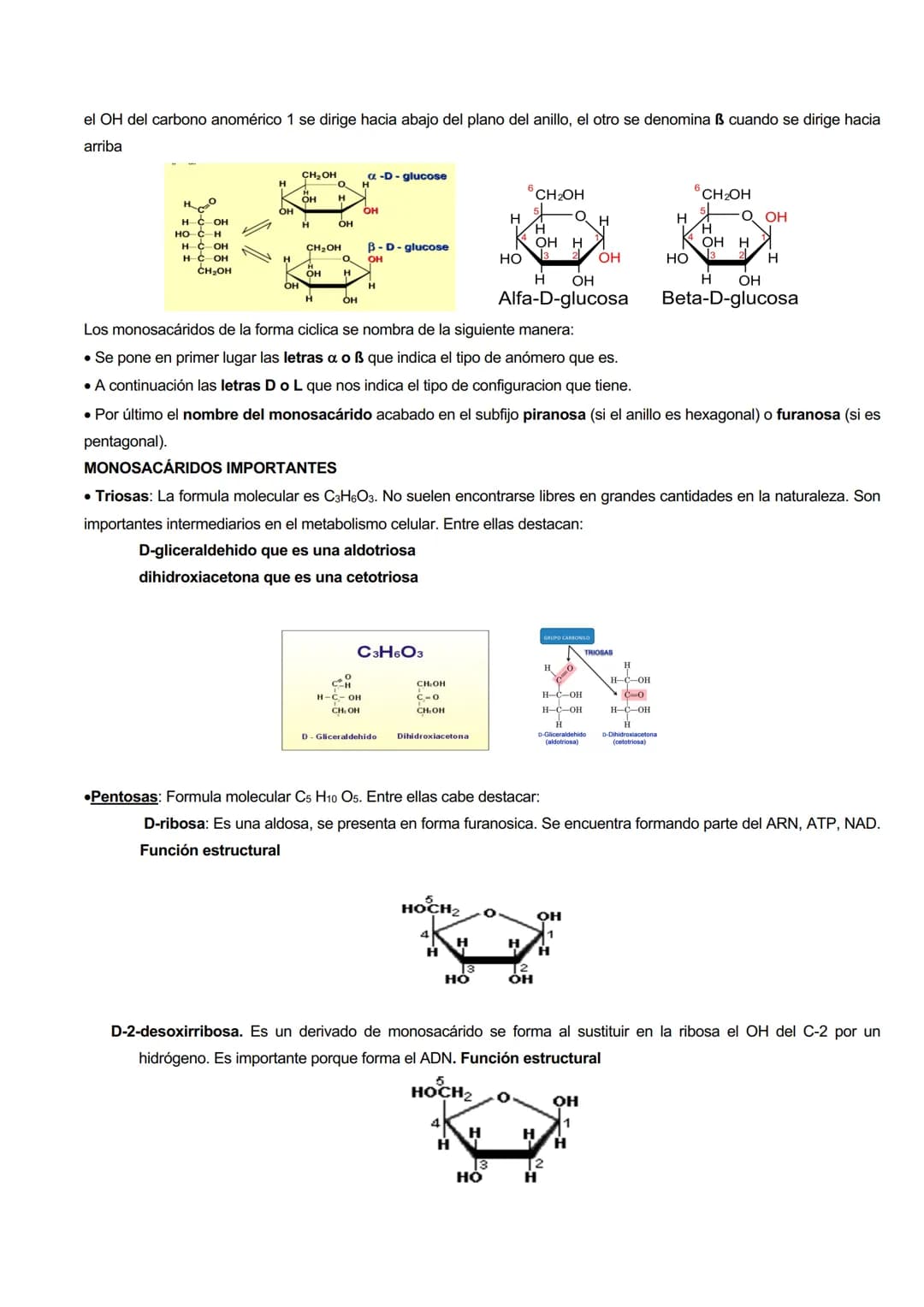 # CARACTERISTICAS GENERALES
GLÚCIDOS
Los glúcidos son biomoléculas orgánicas que están formadas principalmente por C, H y O.
Su formula g