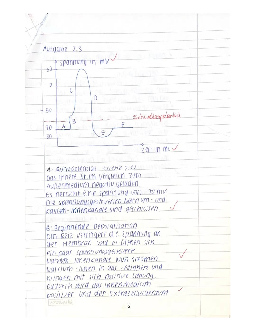 Name:
Klausur I
Neurobiologie
Beurteilung:
erreichte Punktzahl =
61
(von 65 Pkt.=938%)= Note 44
14.11.2023
Bitte achten Sie auf Form und