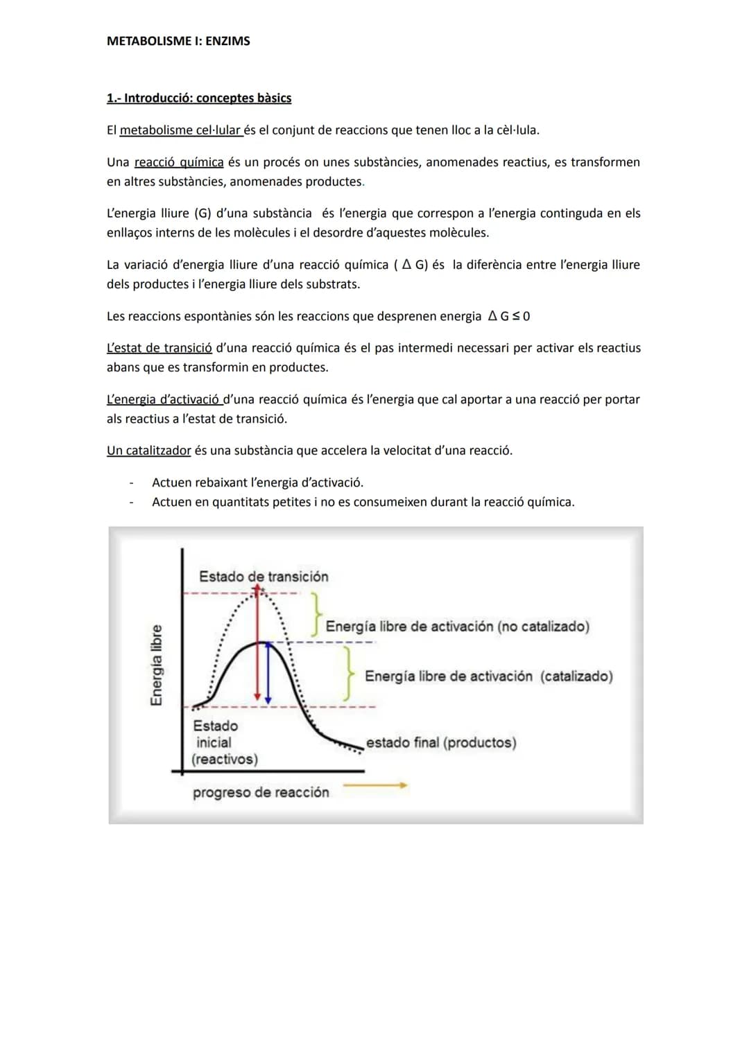 METABOLISME I: ENZIMS
1.- Introducció: conceptes bàsics
El metabolisme cel·lular és el conjunt de reaccions que tenen lloc a la cèl·lula.