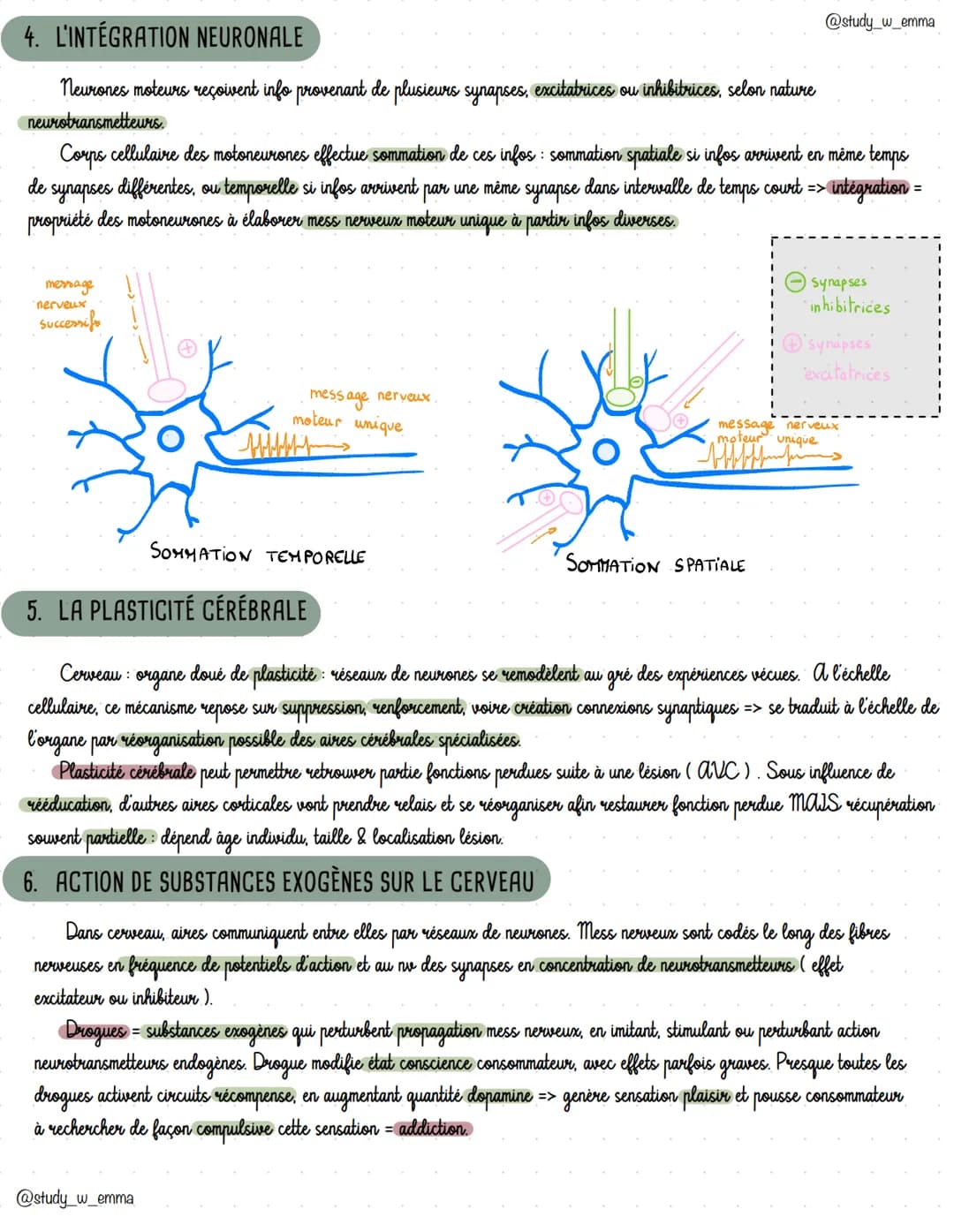 # Cerveau, movement volontaire et action de
substances exogenes
1. LA COMMANDE CÉRÉBRALE DU MOUVEMENT VOLONTAIRE
@study_w_emma
Des expéri
