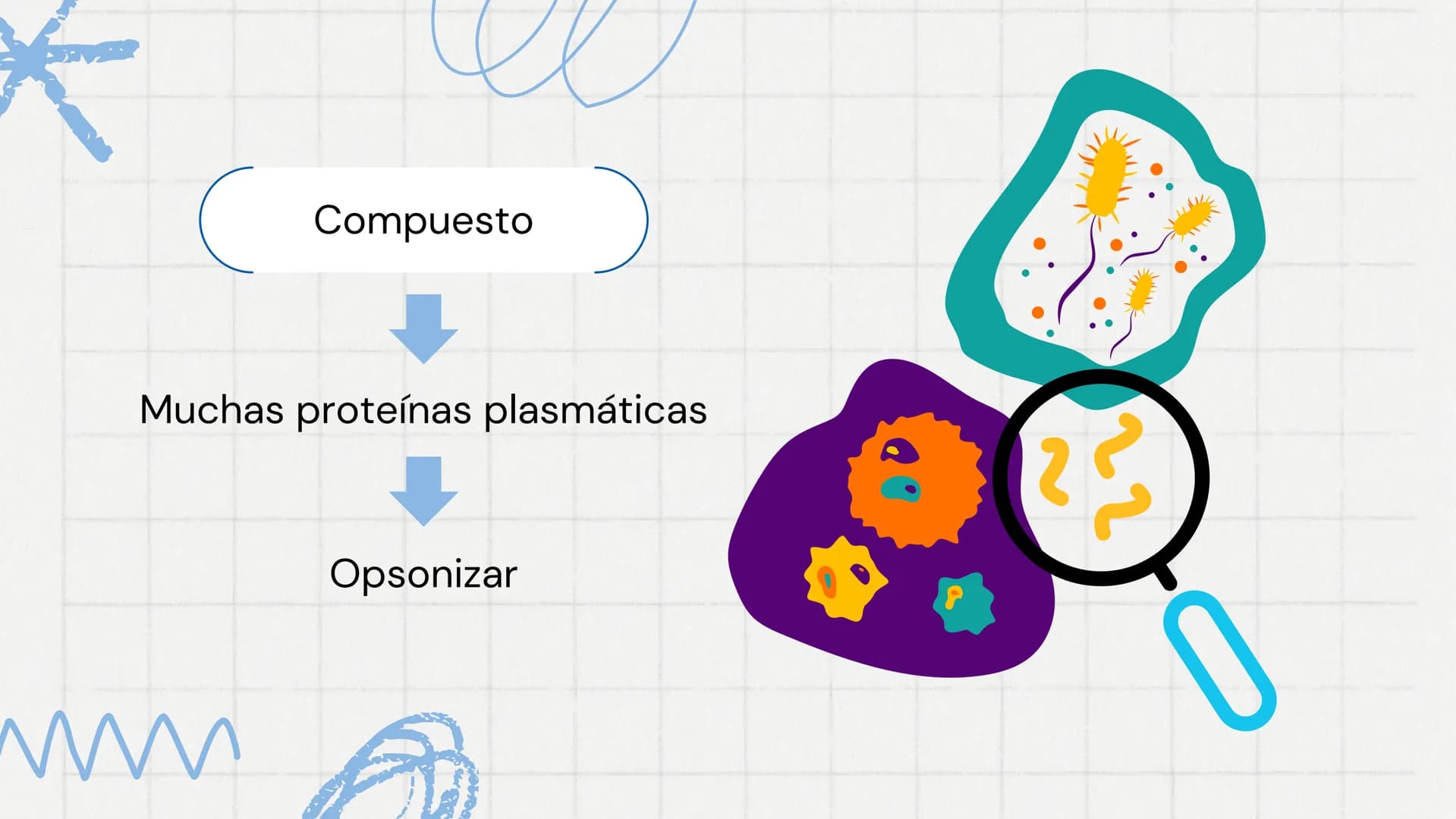 # Sistema del
# Complemento 000
Sistema del complemento y la
inmunidad innata/adaptativa
El complemento es un sistema de
proteínas plasmát