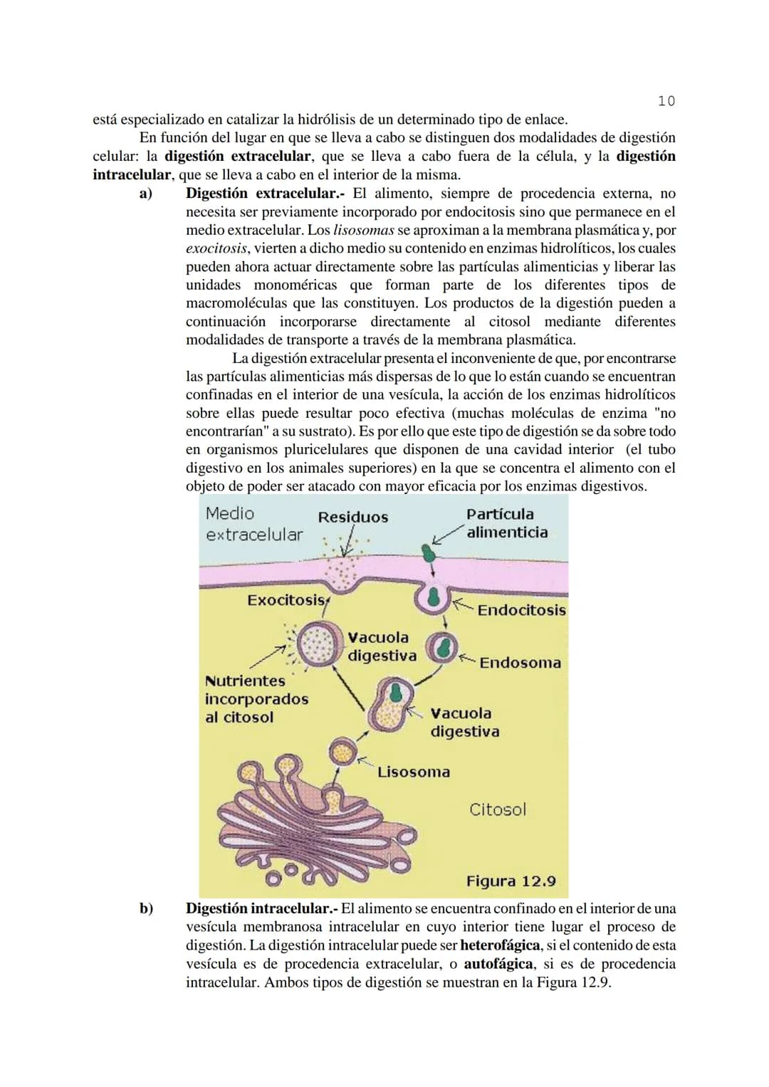 # 1
TEMA 12: FISIOLOGÍA CELULAR.
La célula, en tanto que unidad funcional de los seres vivos, está capacitada para llevar a
cabo las funci