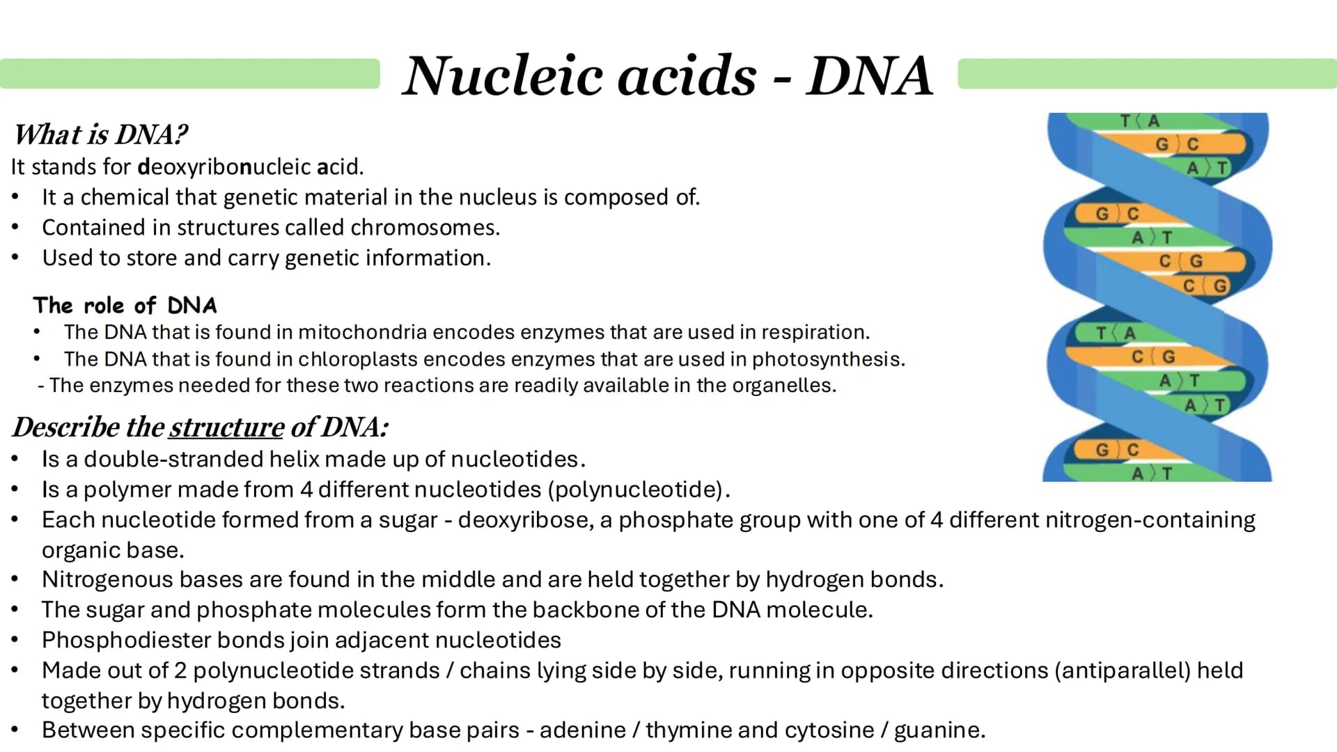 # Nucleic acids - DNA
What is DNA?
It stands for deoxyribonucleic acid.
• It a chemical that genetic material in the nucleus is composed o