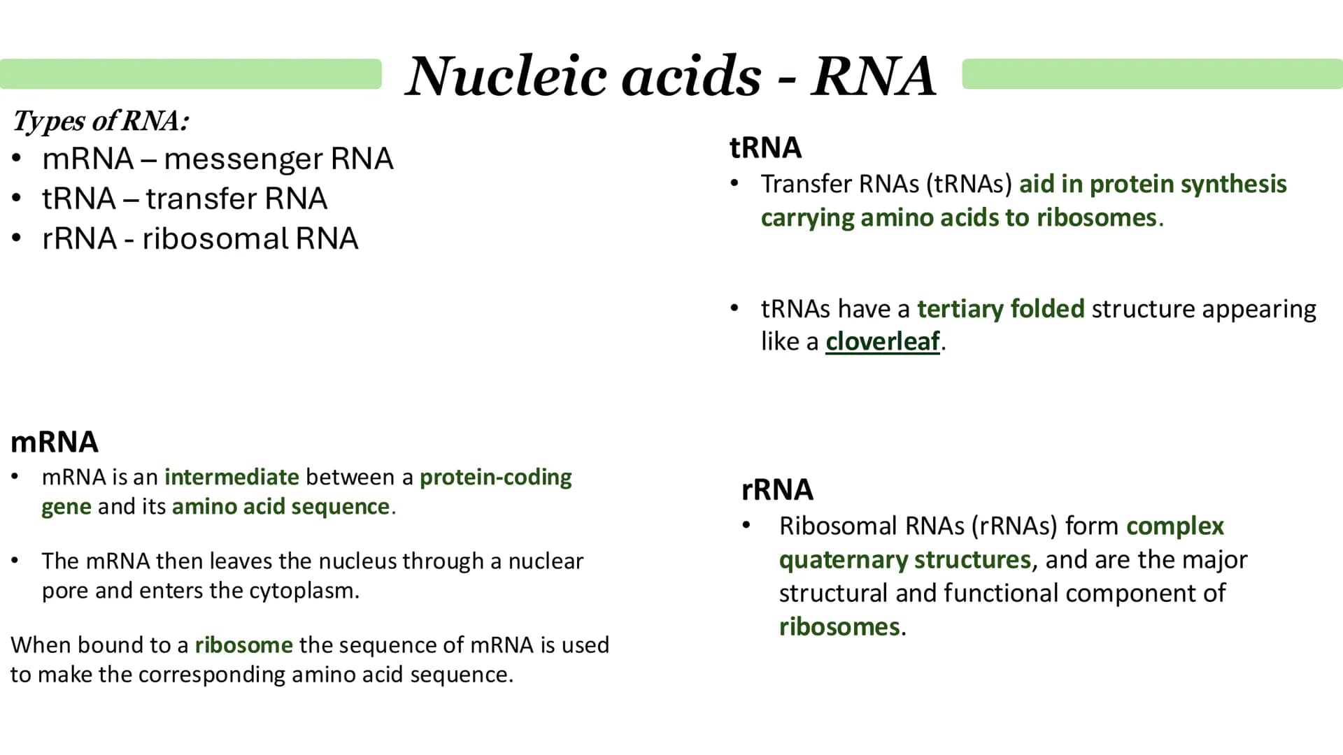 # Nucleic acids - DNA
What is DNA?
It stands for deoxyribonucleic acid.
• It a chemical that genetic material in the nucleus is composed o