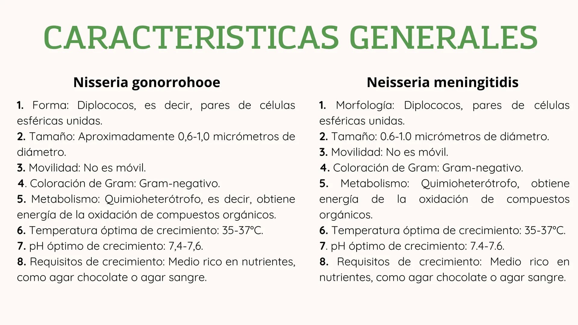 *
11
11
NEISERIA GONORROHOE -
NEISSERIA MENINGITIDIS
かか
XX
XX
X
XX
<
00 ## ¿QUÉ ES?
00
### Neisseria gonorrohooe
La gonorrea es