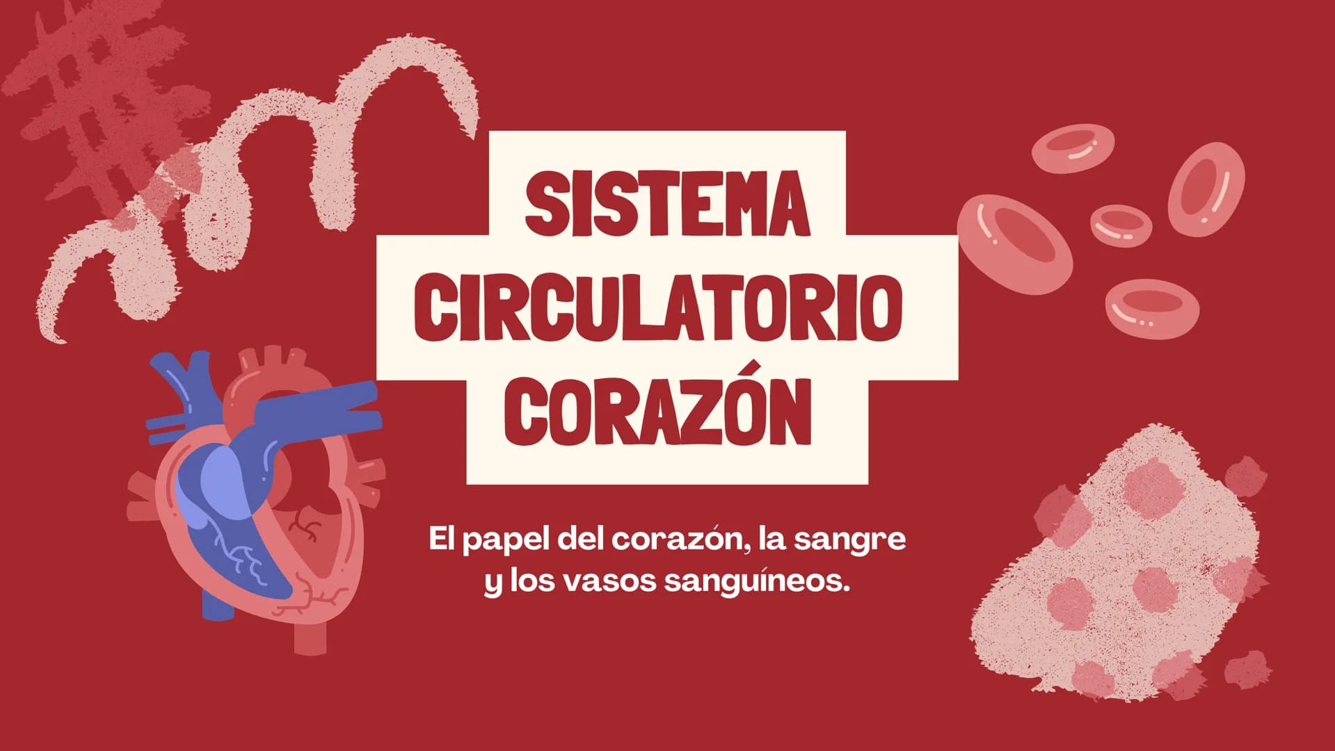 SISTEMA
CIRCULATORIO
CORAZÓN
El papel del corazón, la sangre
y los vasos sanguíneos. EL CORAZON
Funciona como una bomba para
mover la sang