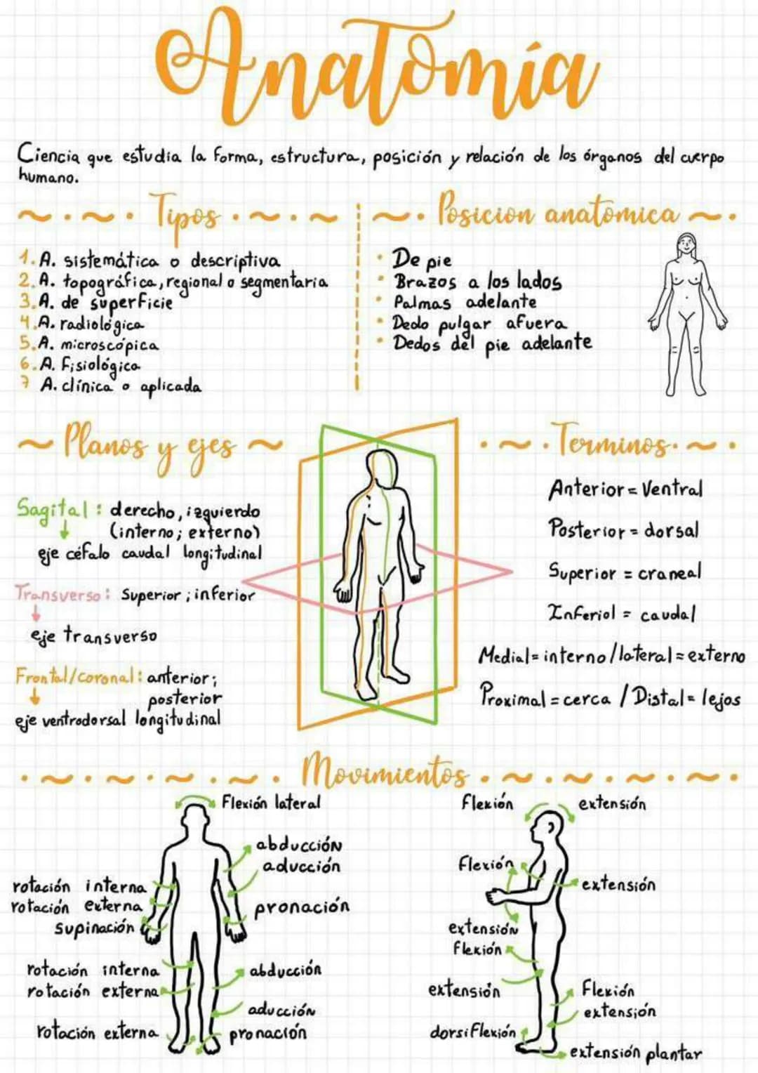# Anatomia
Ciencia que estudia la forma, estructura, posición y relación de los órganos del cuerpo
humano.
~.~.~ Tipos ~.~.~ ~.~.~ Posicio